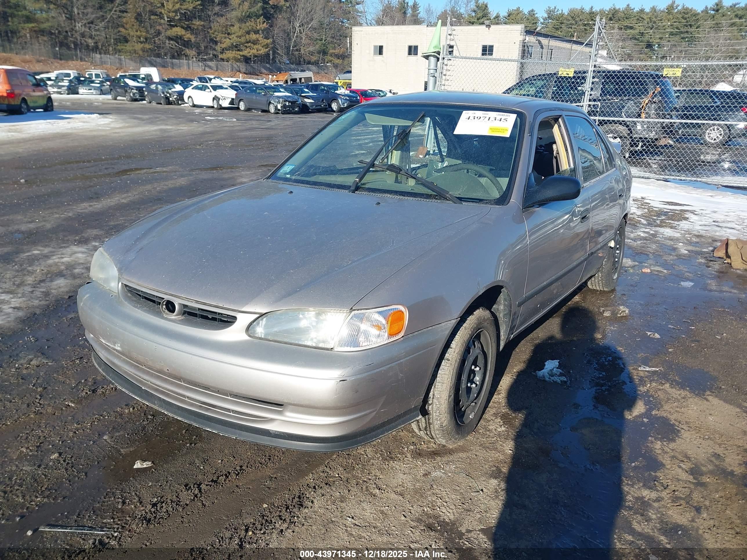 TOYOTA COROLLA image 2