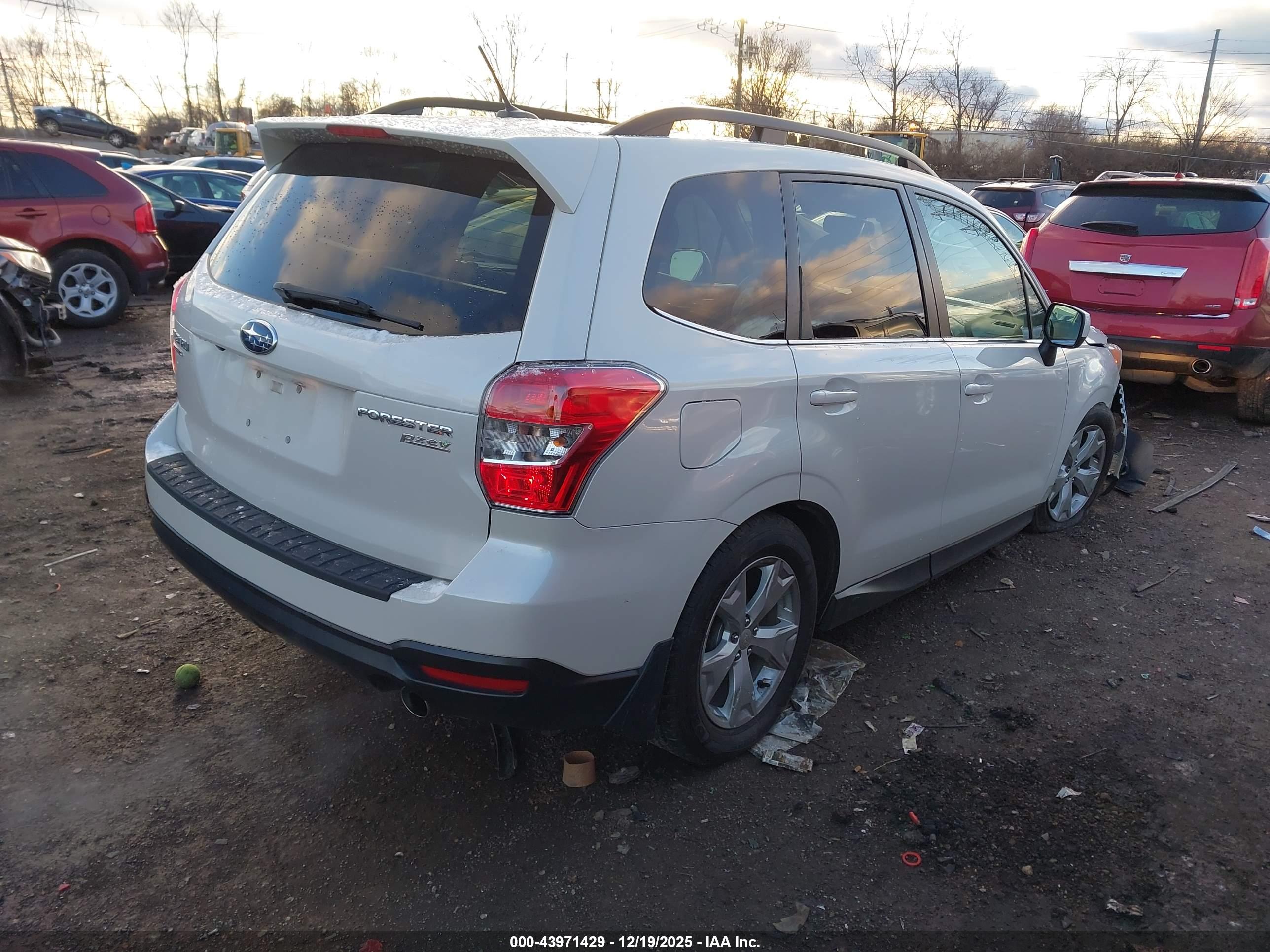 SUBARU FORESTER image 4