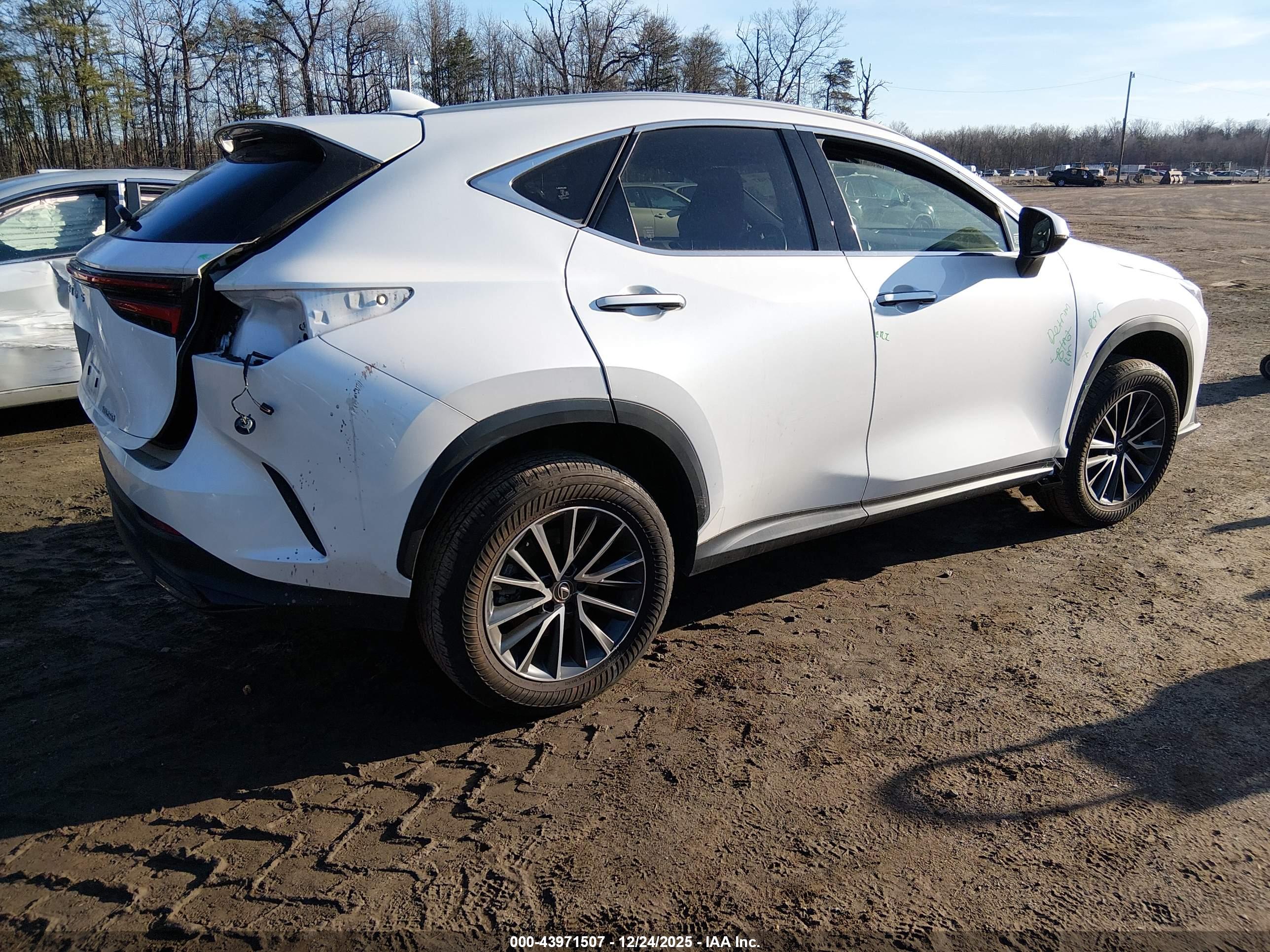 LEXUS NX image 4