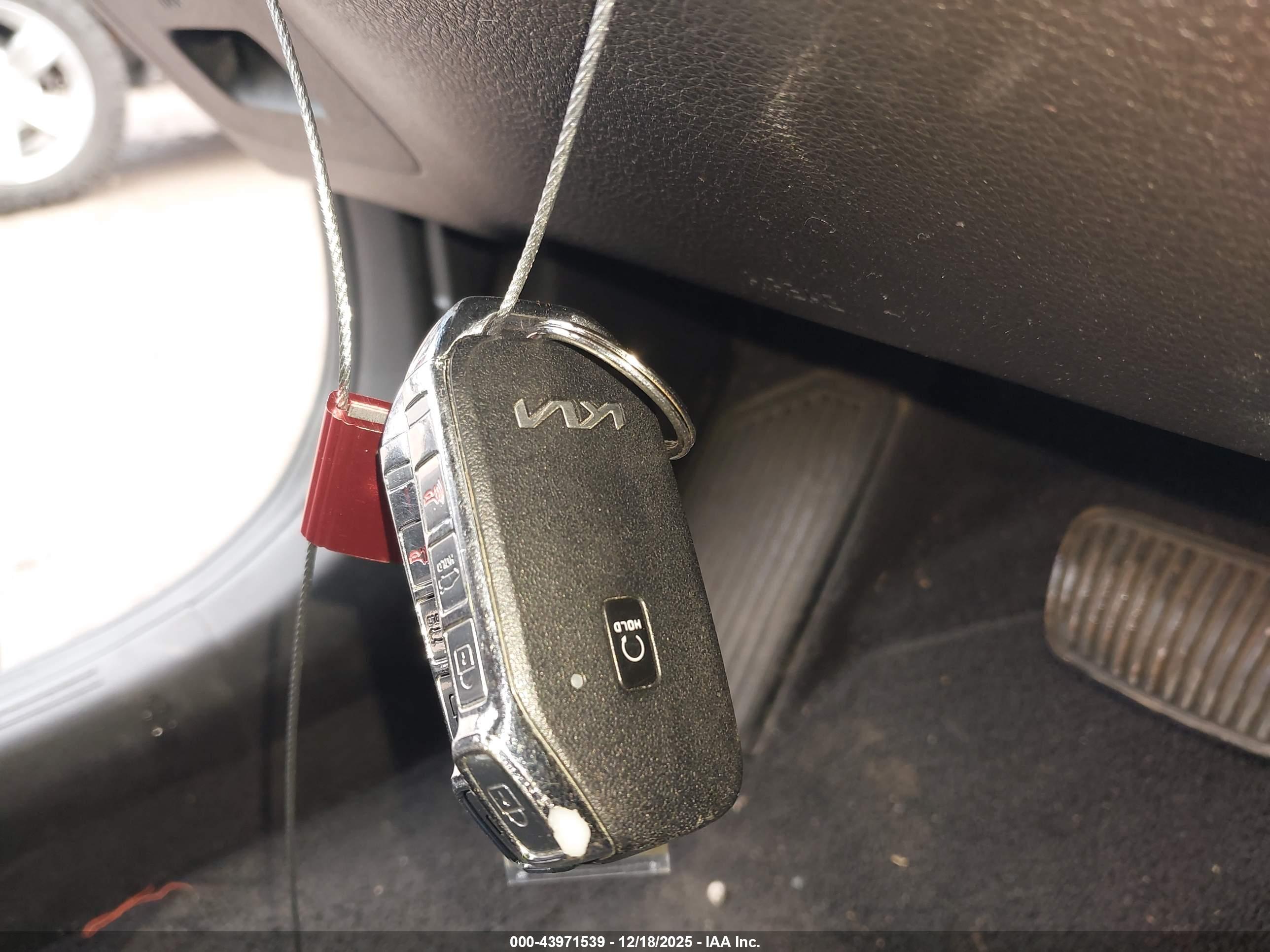 KIA K5 image 11