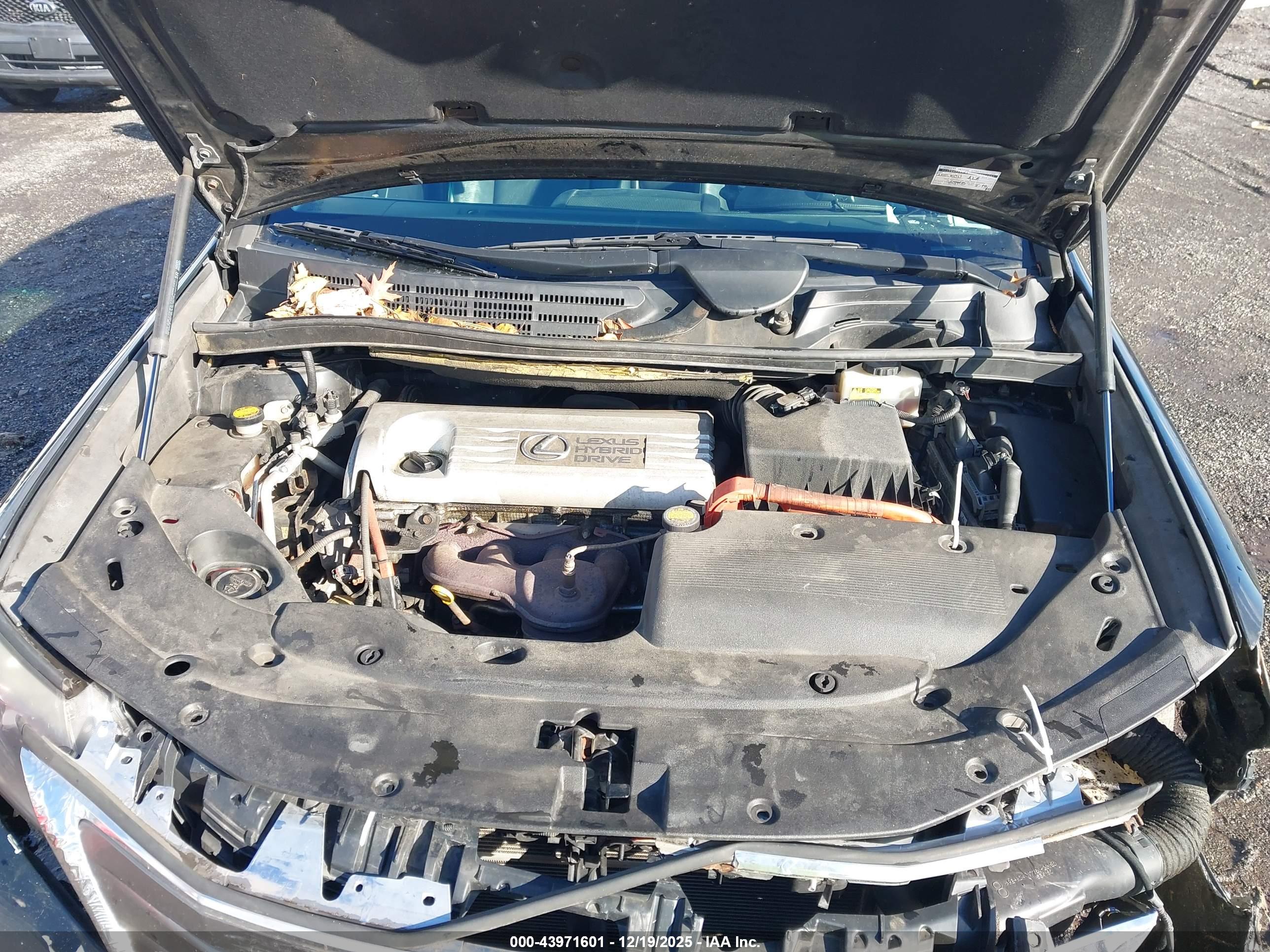 LEXUS HS image 10