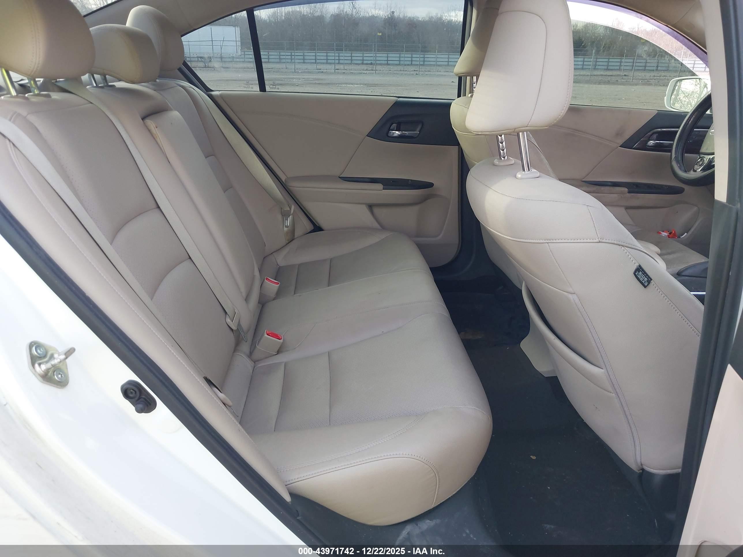 HONDA ACCORD image 8
