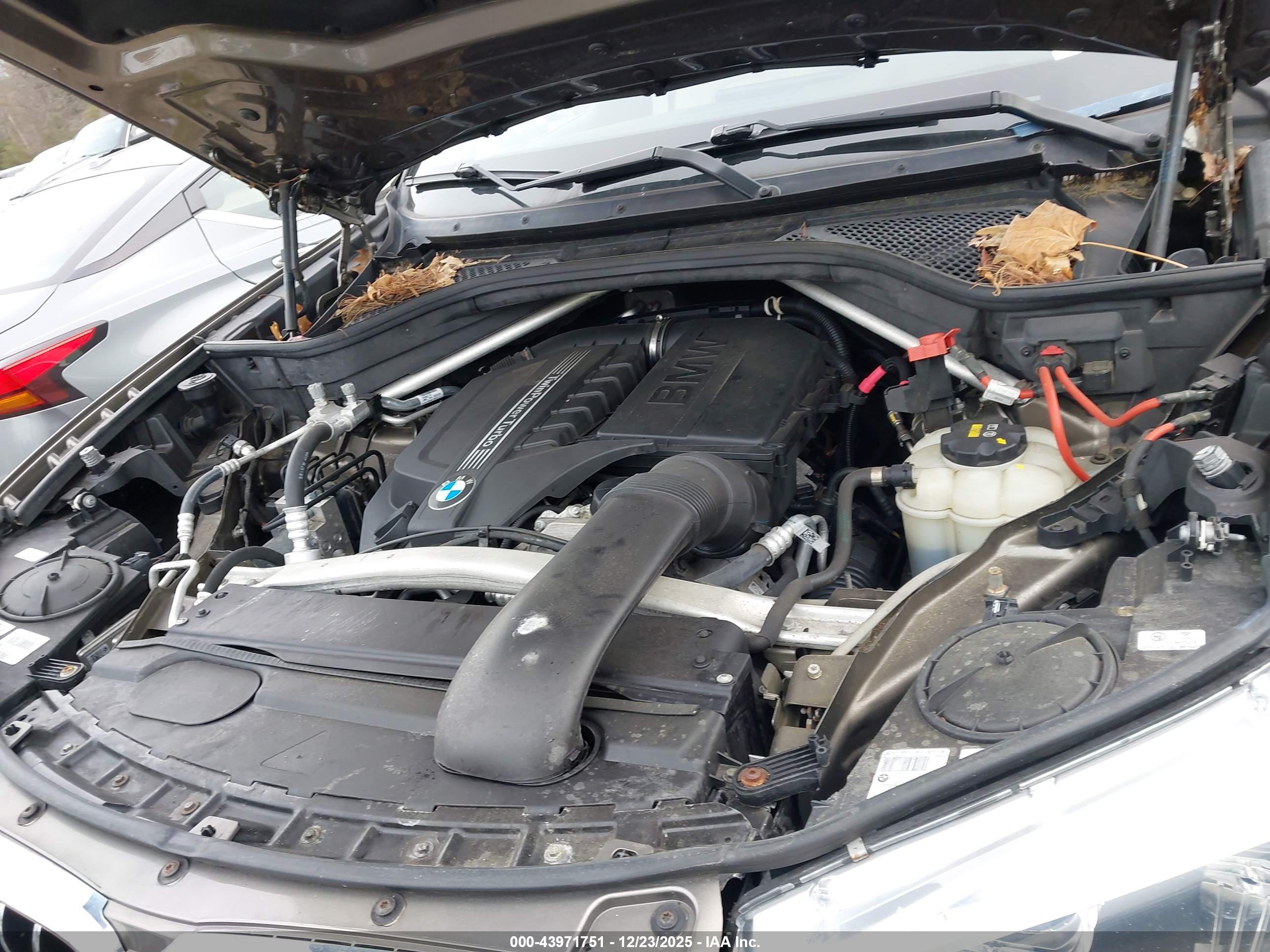 BMW X5 image 10
