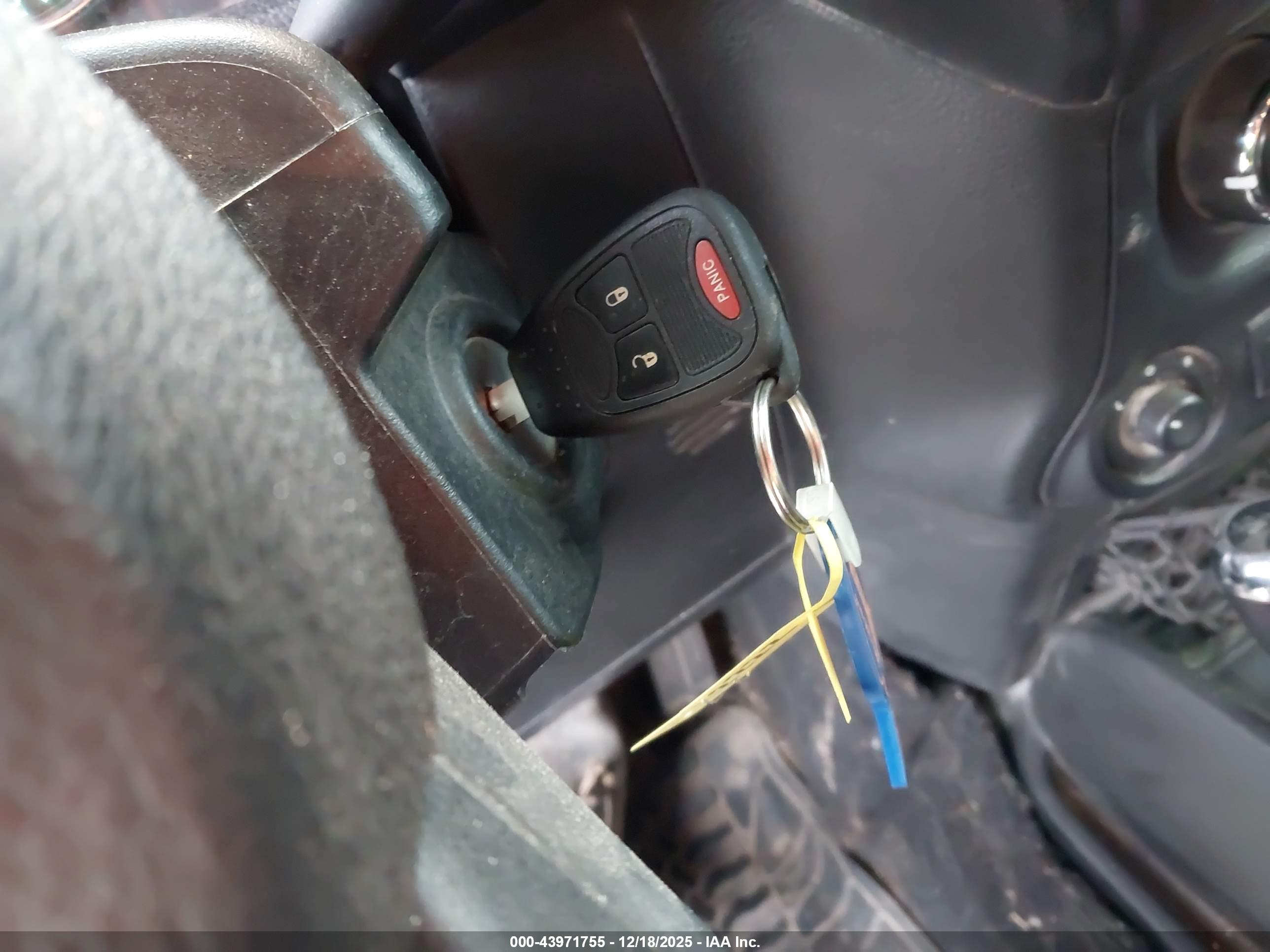 JEEP WRANGLER image 11