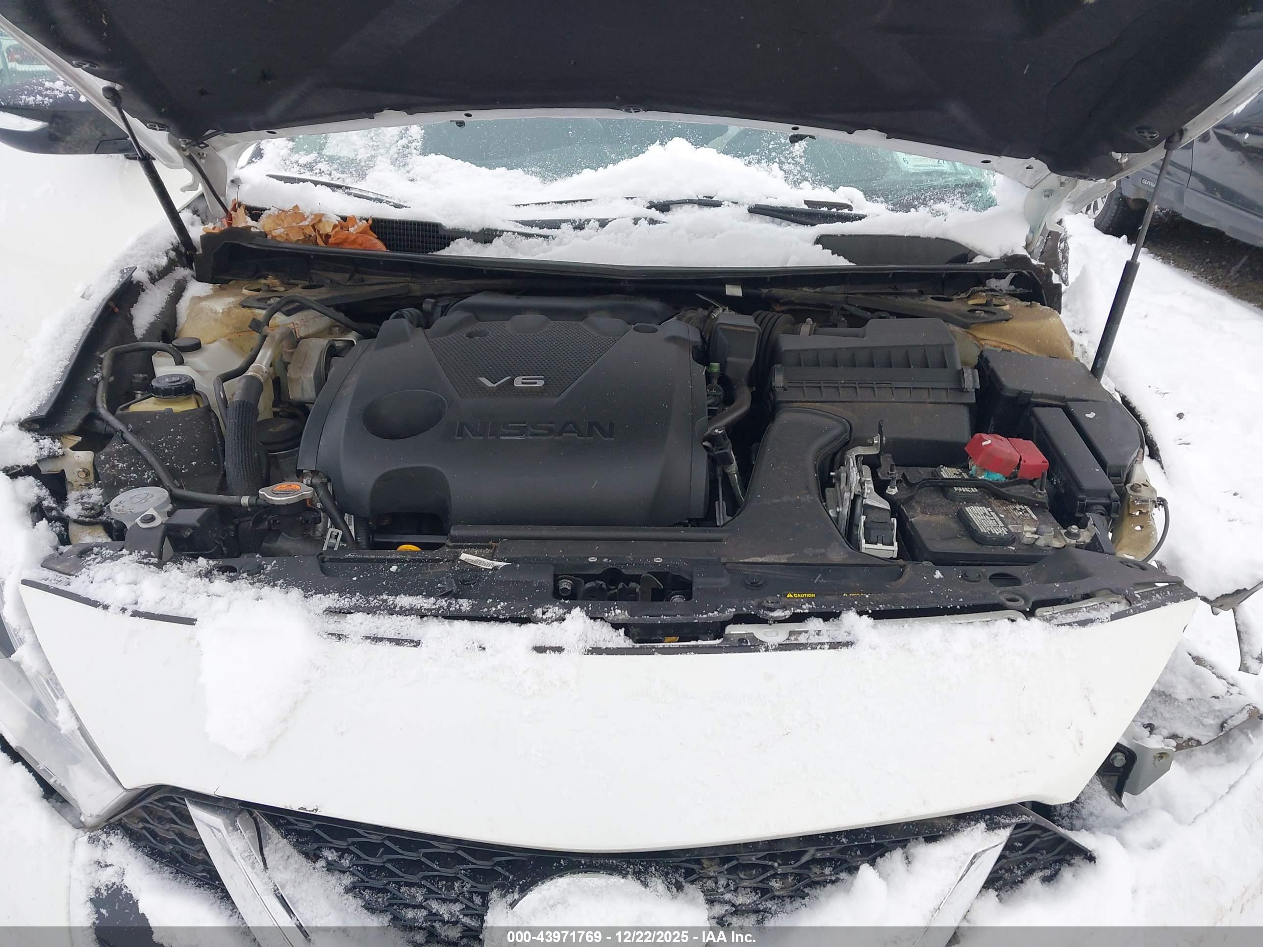 NISSAN MAXIMA image 10