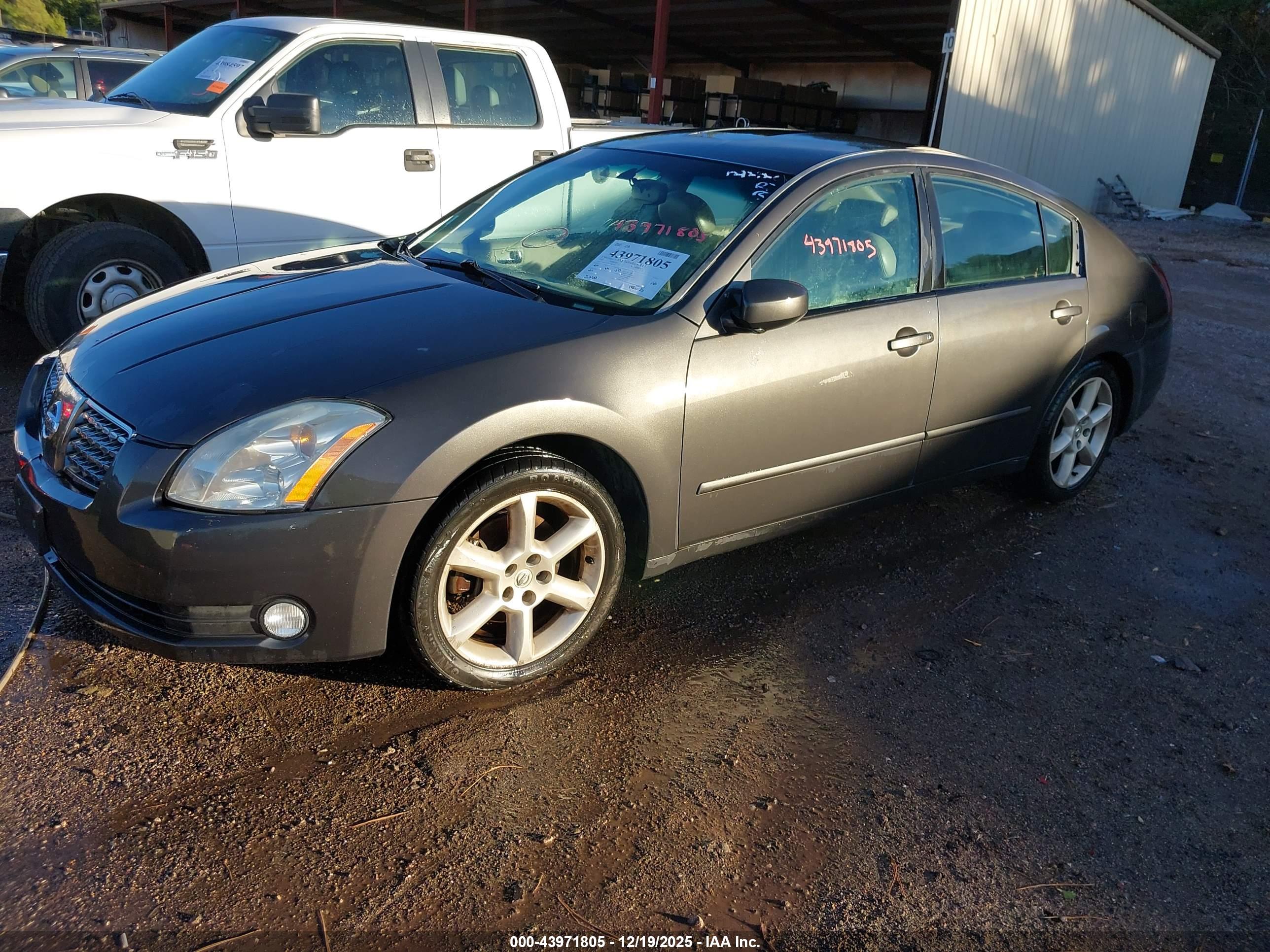 NISSAN MAXIMA image 2
