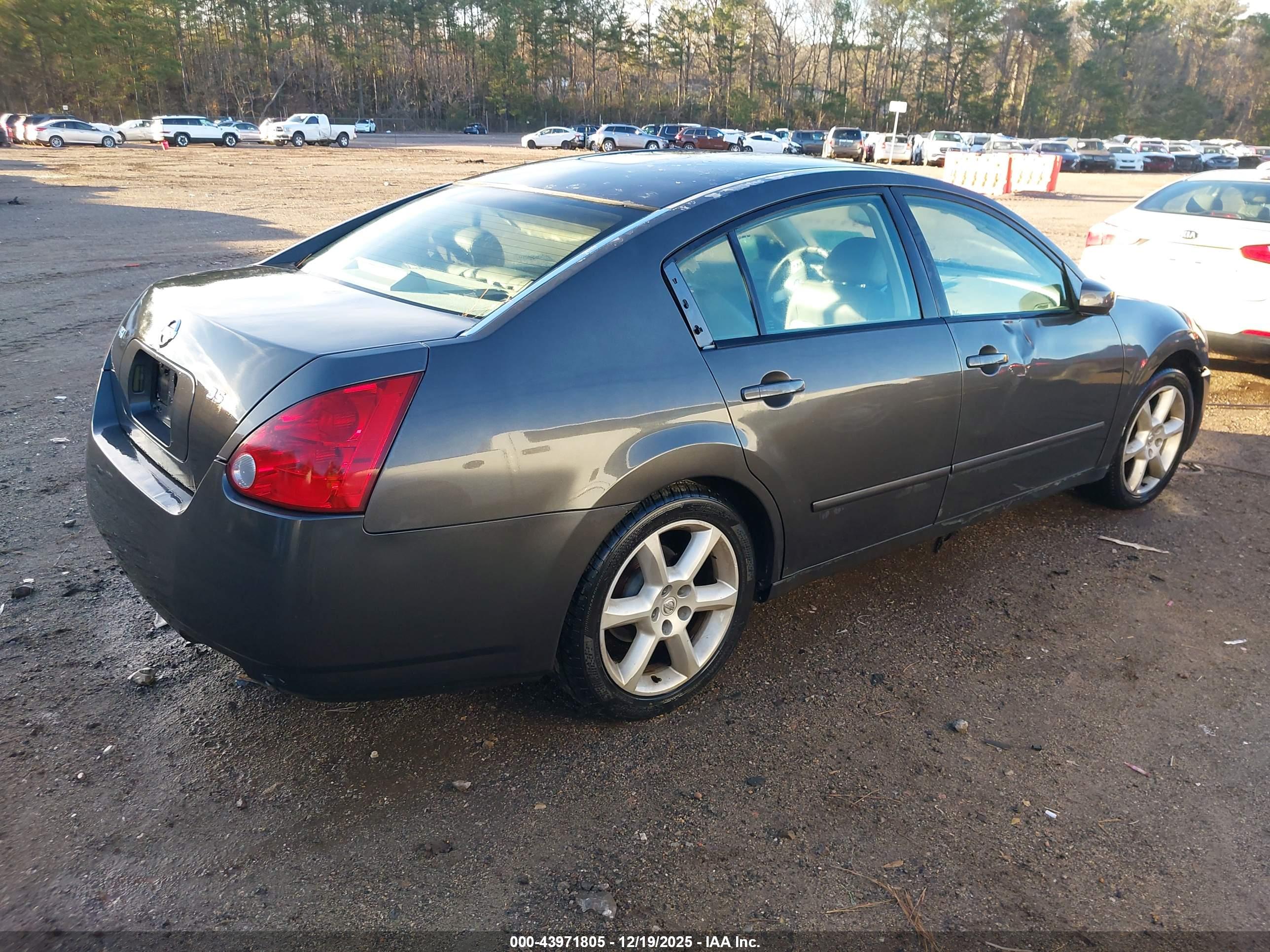 NISSAN MAXIMA image 4