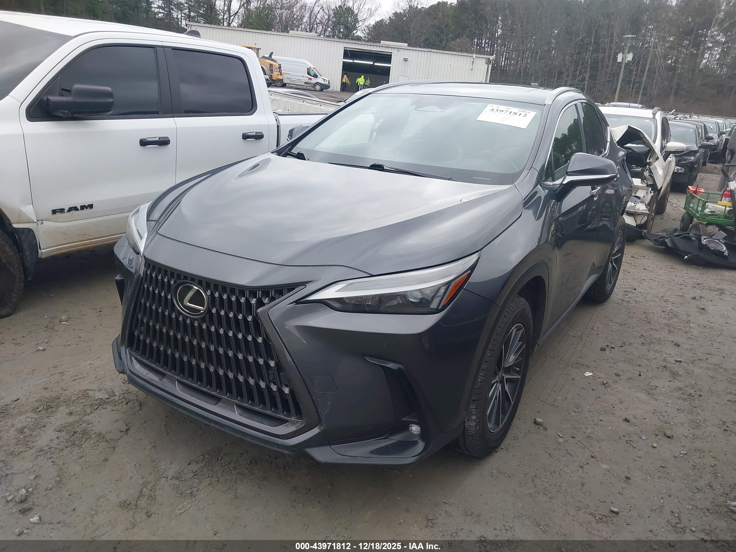 LEXUS NX image 2