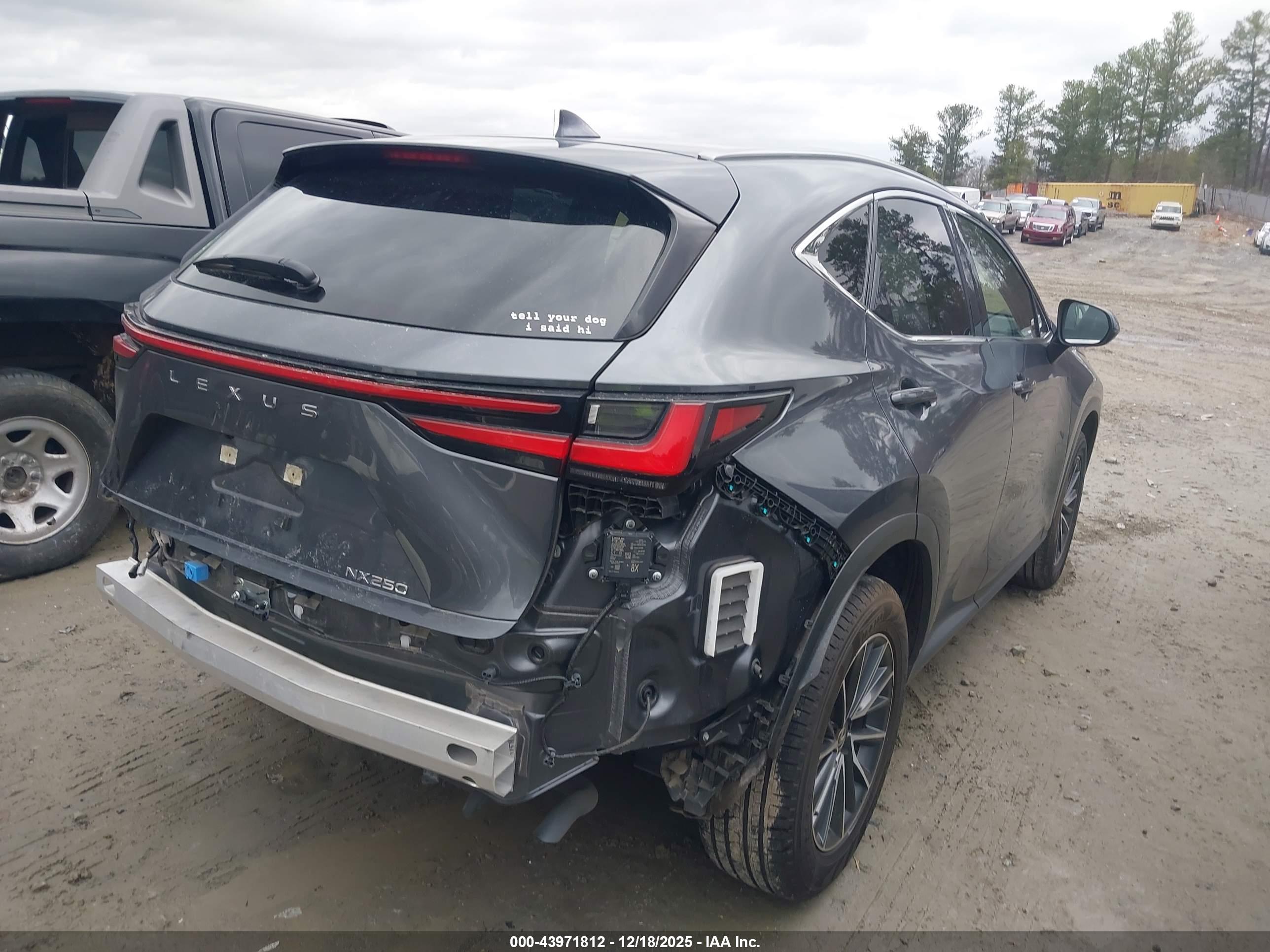 LEXUS NX image 4