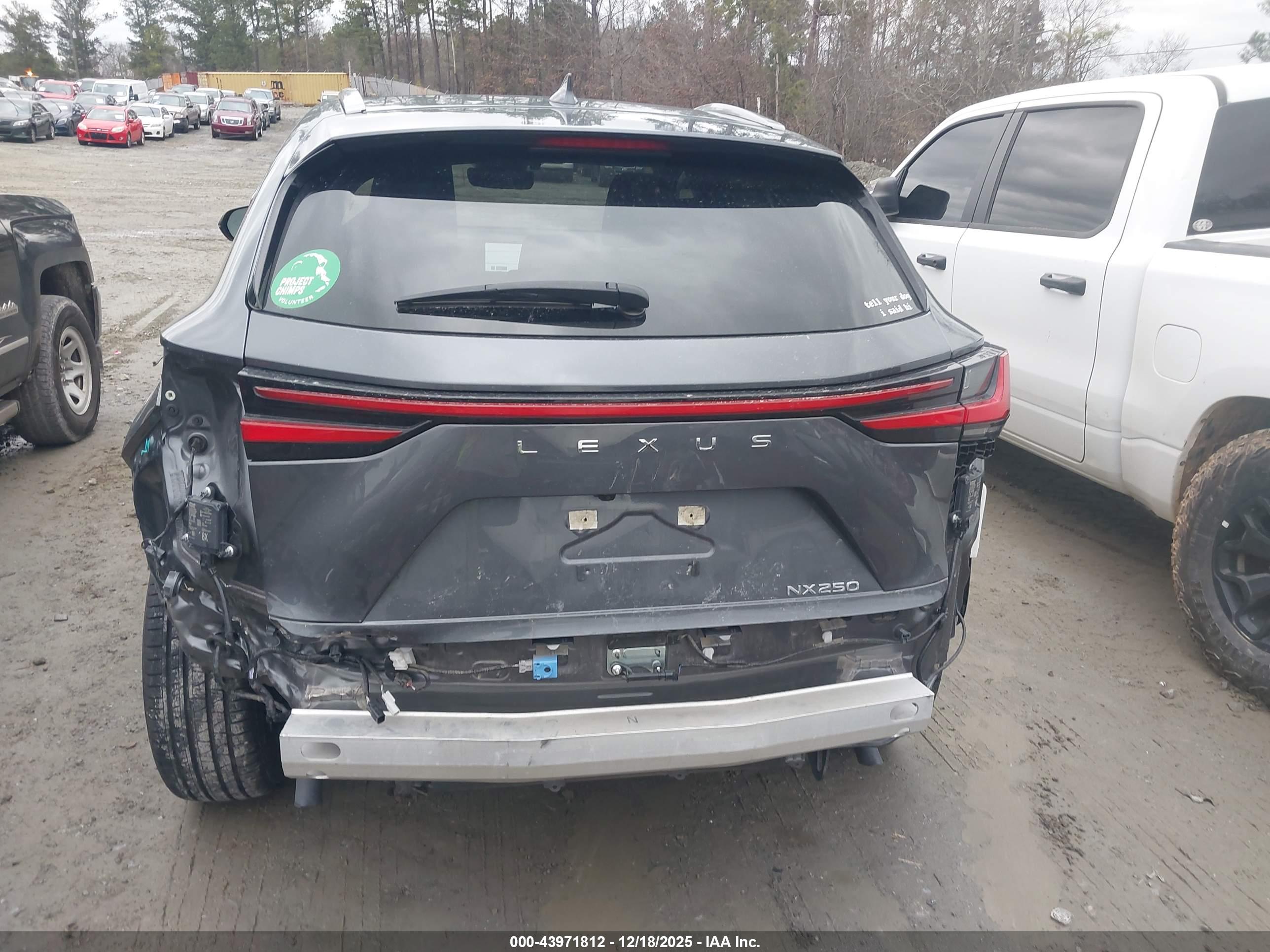 LEXUS NX image 6