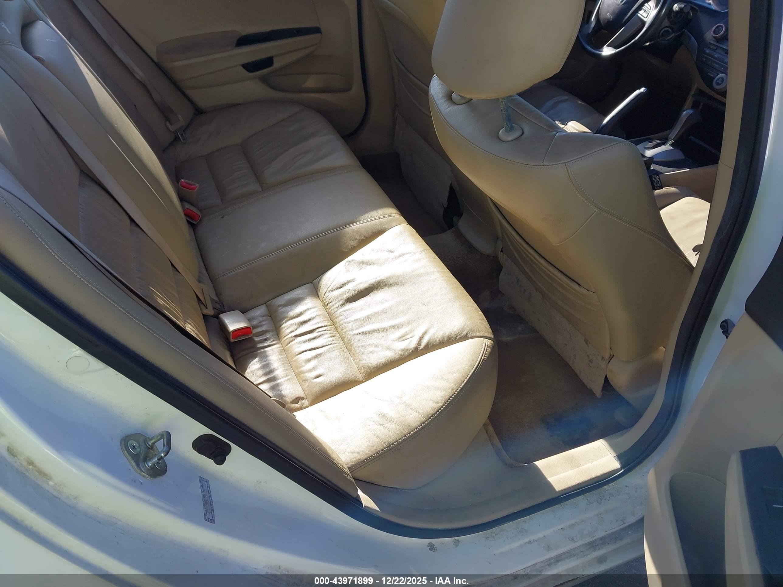 HONDA ACCORD image 8