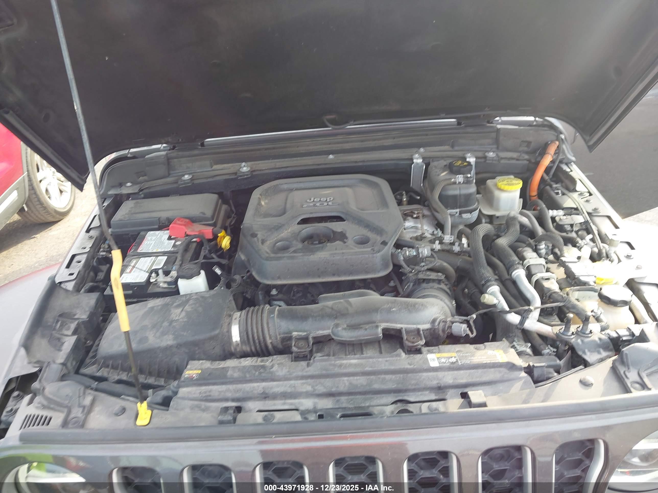 JEEP WRANGLER image 10
