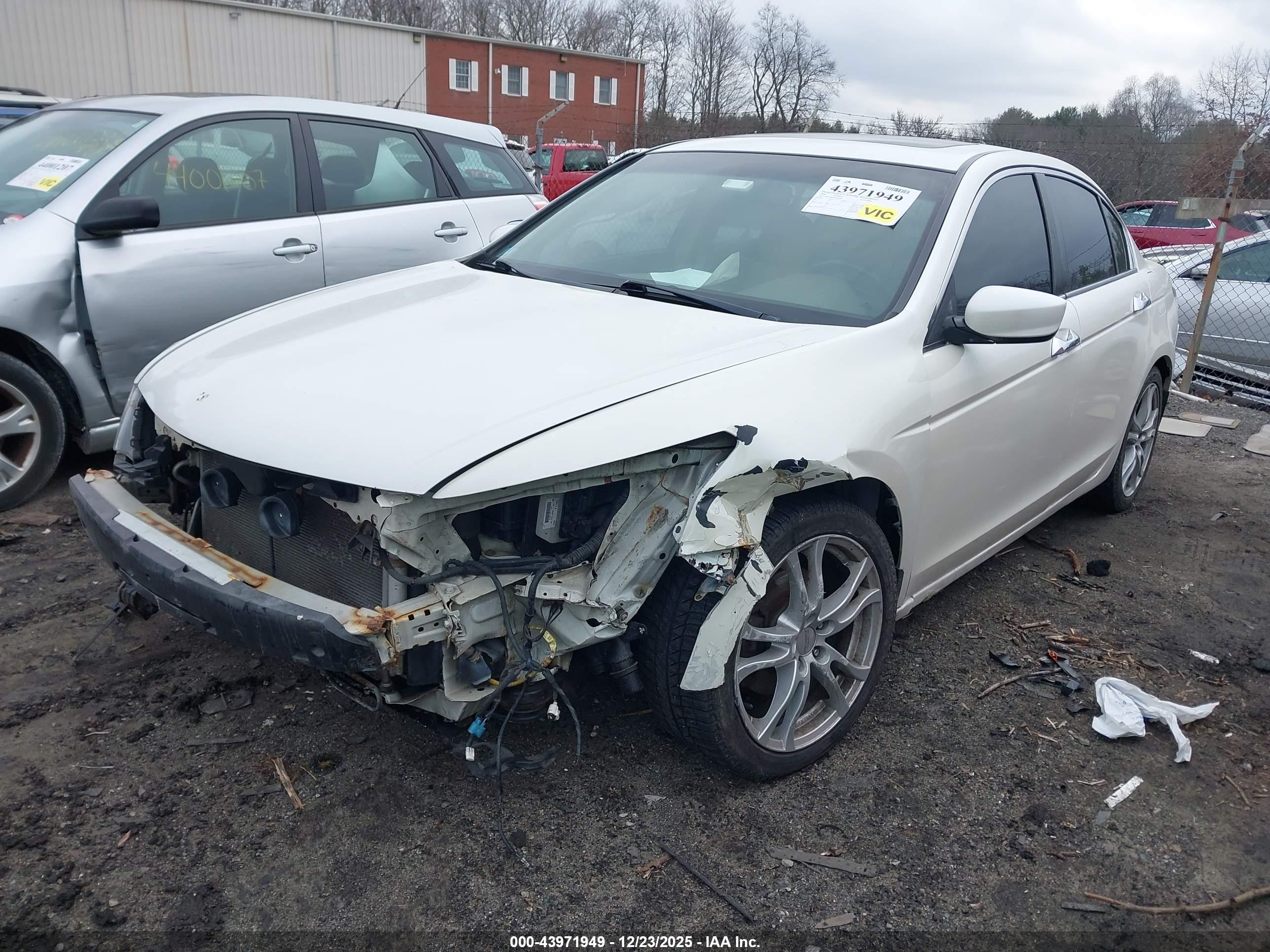 HONDA ACCORD image 2