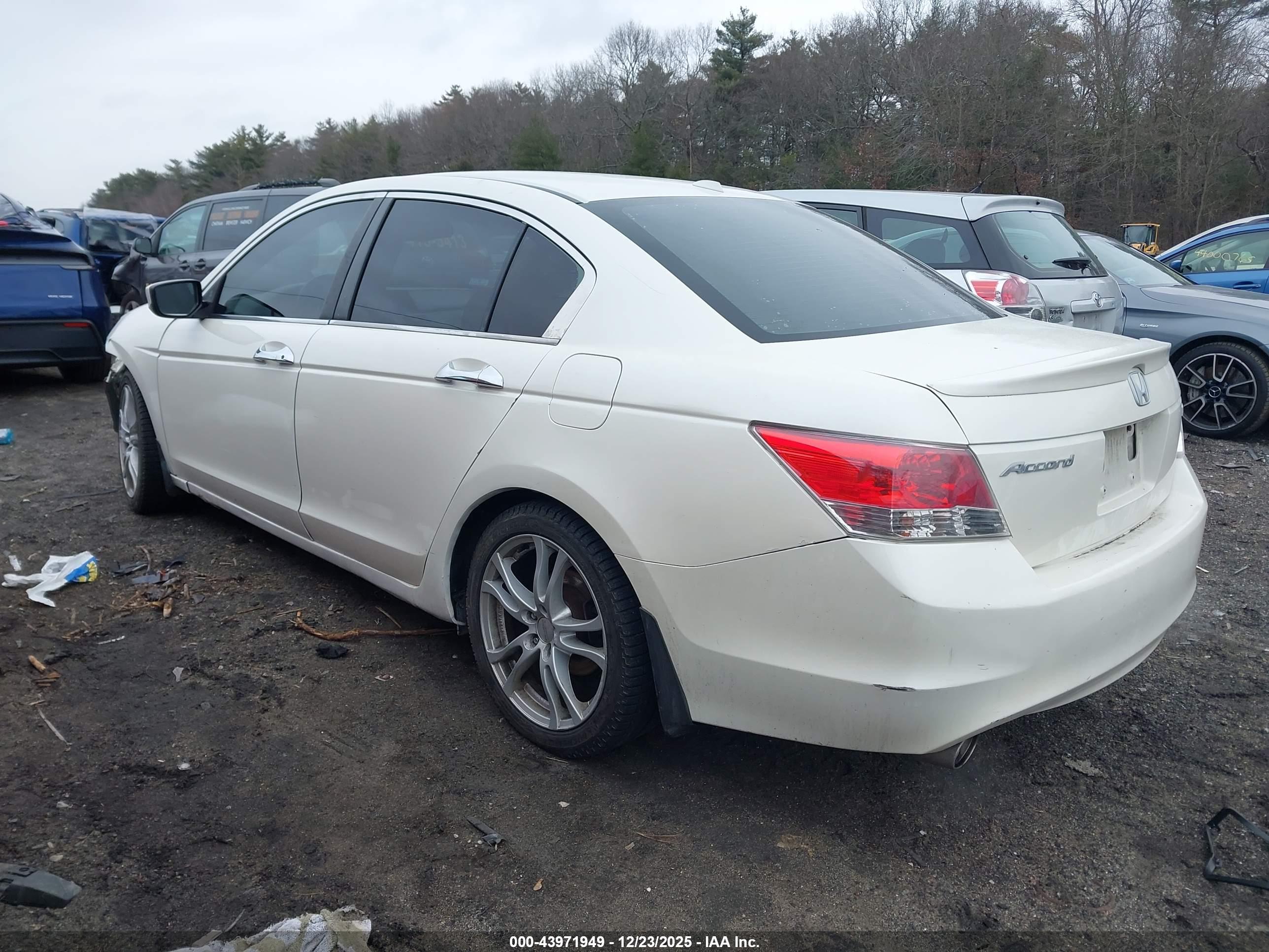 HONDA ACCORD image 3