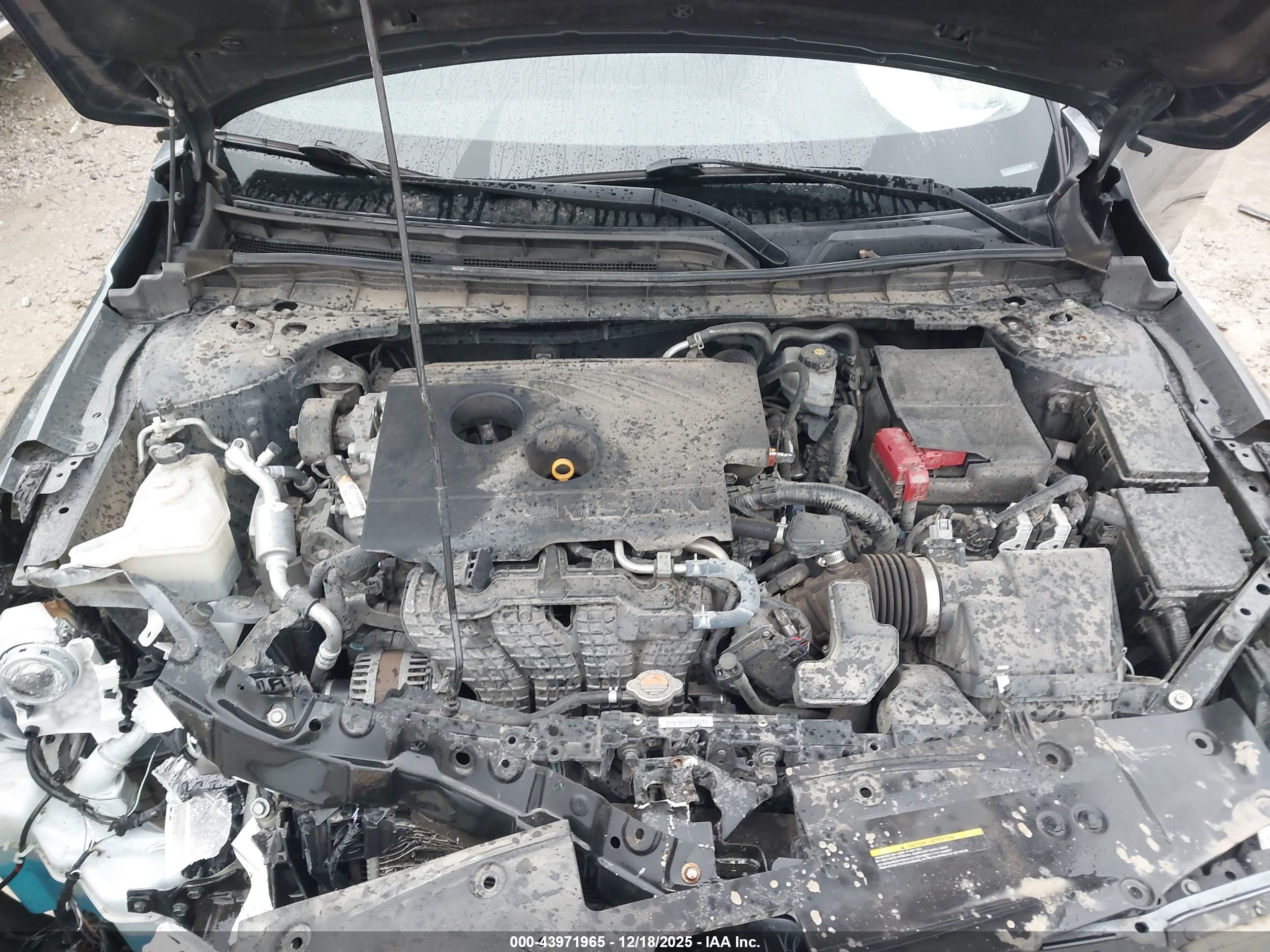 NISSAN ALTIMA image 10