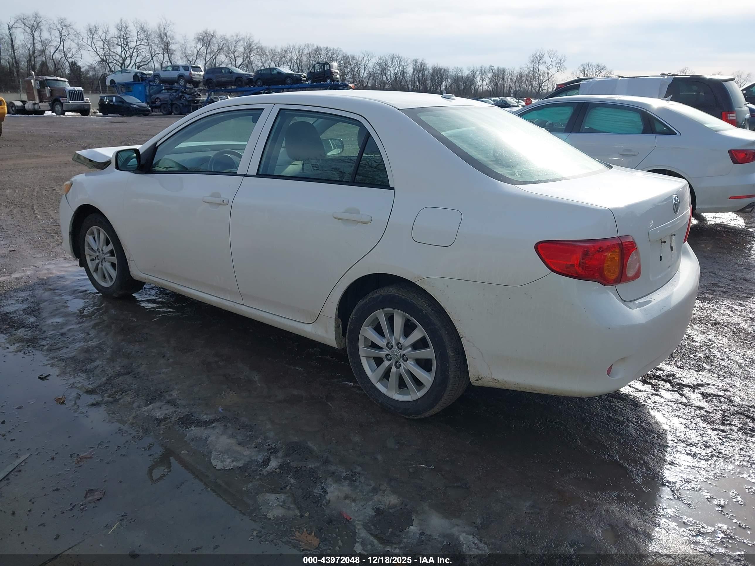 TOYOTA COROLLA image 3