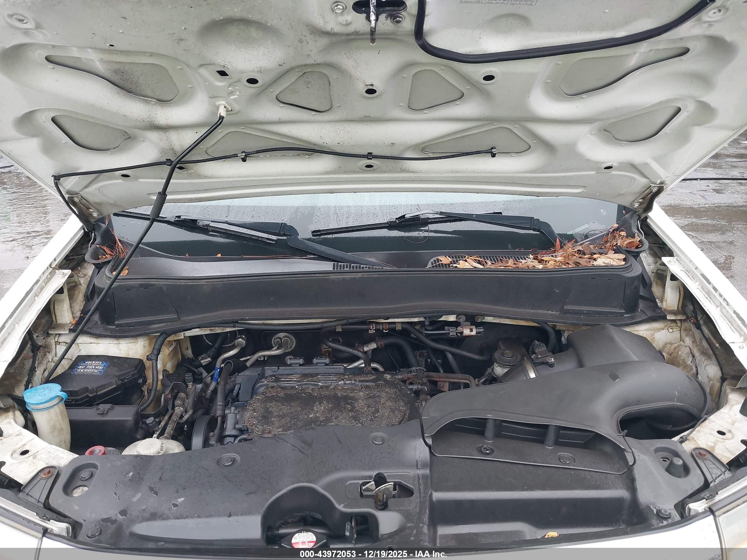 HONDA PILOT image 10
