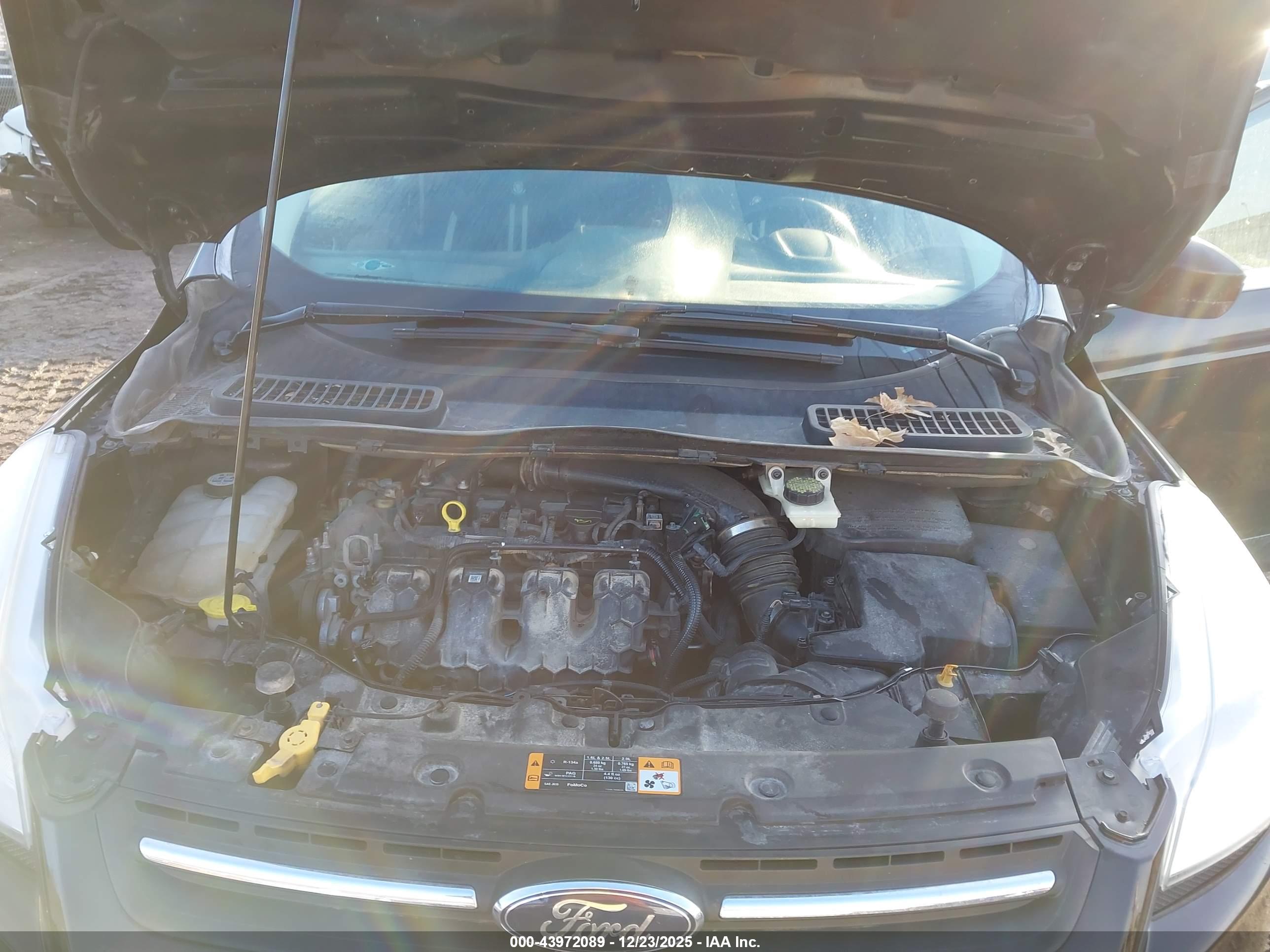 FORD ESCAPE image 10