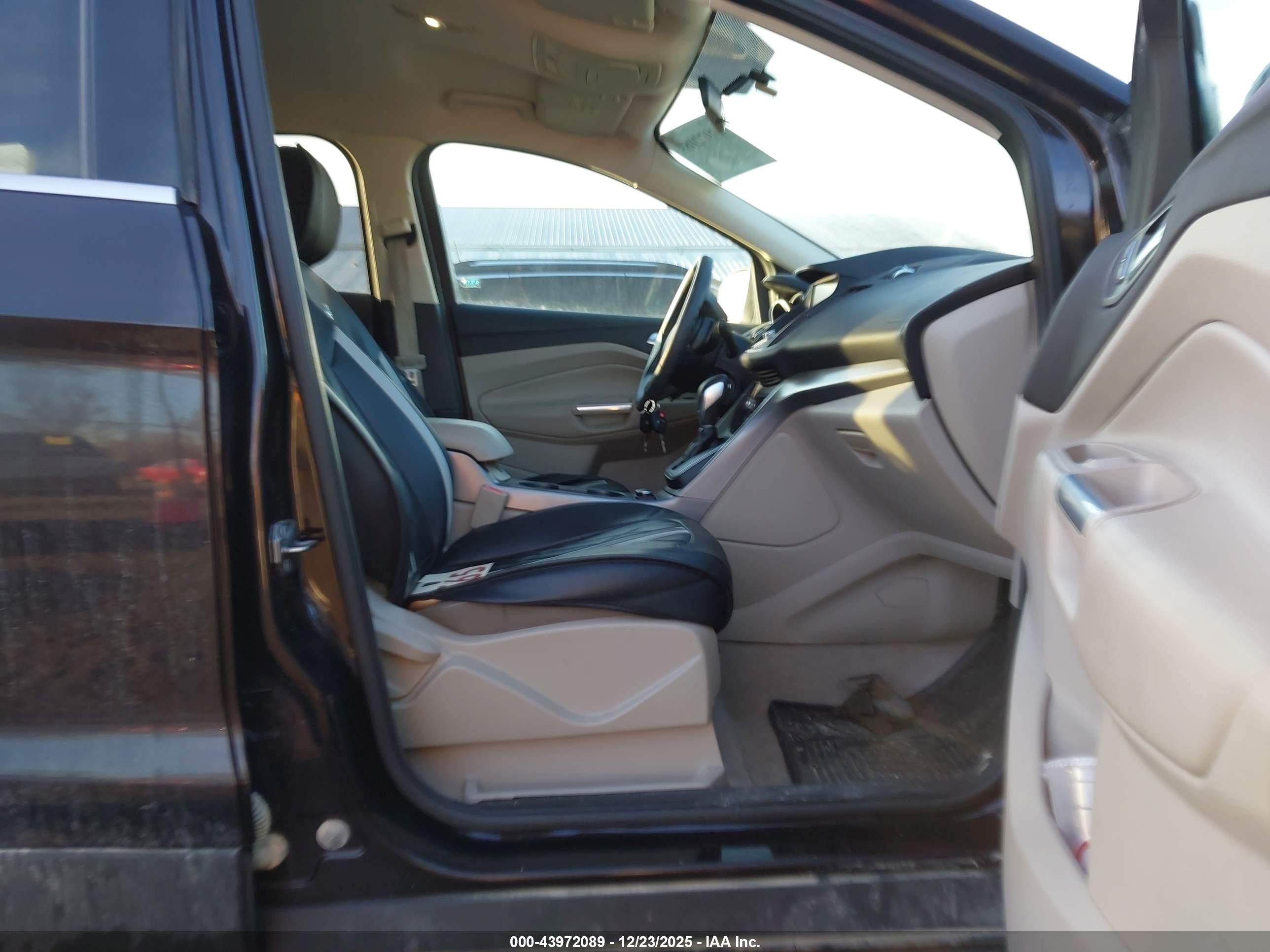 FORD ESCAPE image 5
