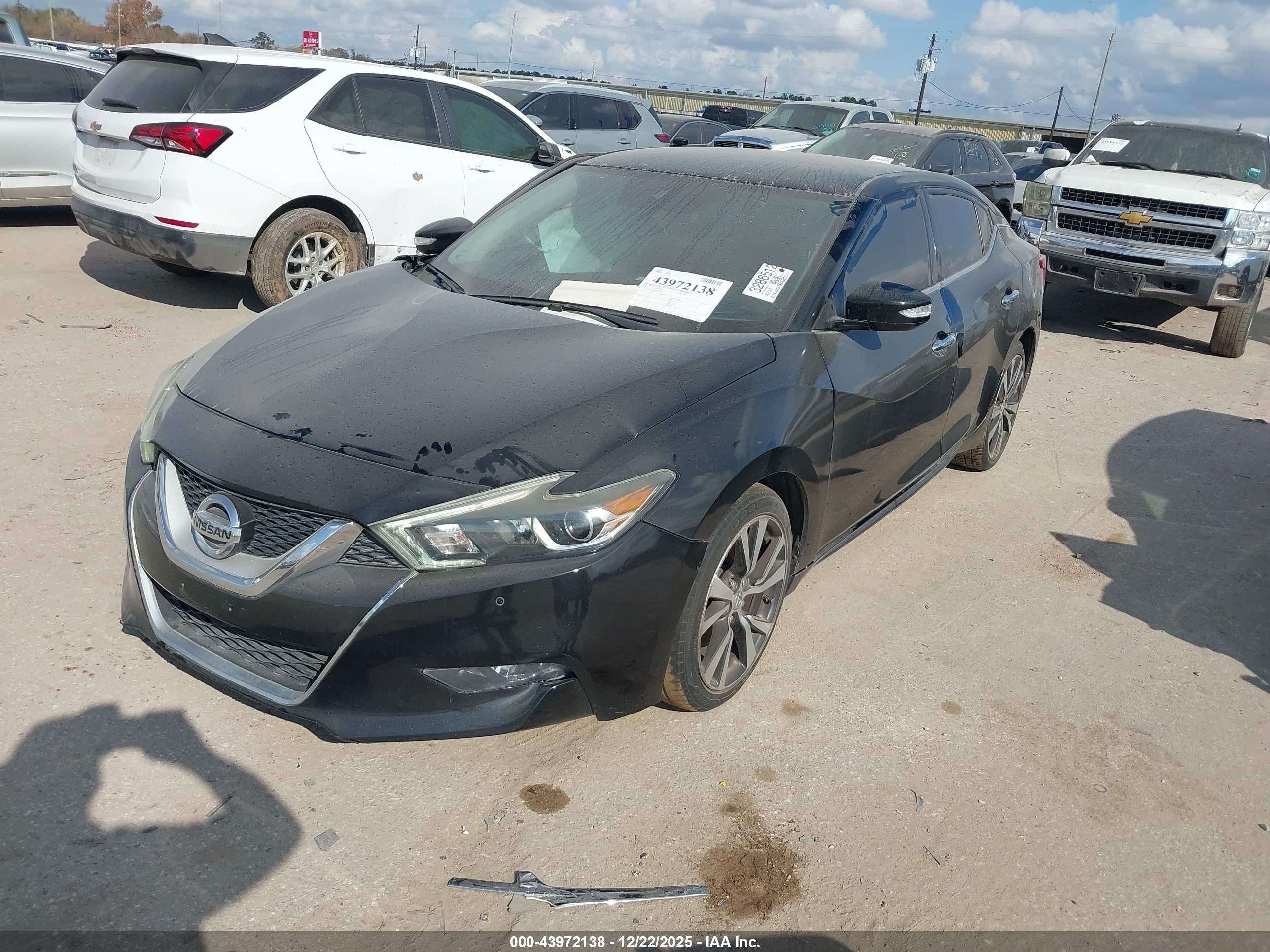 NISSAN MAXIMA image 2