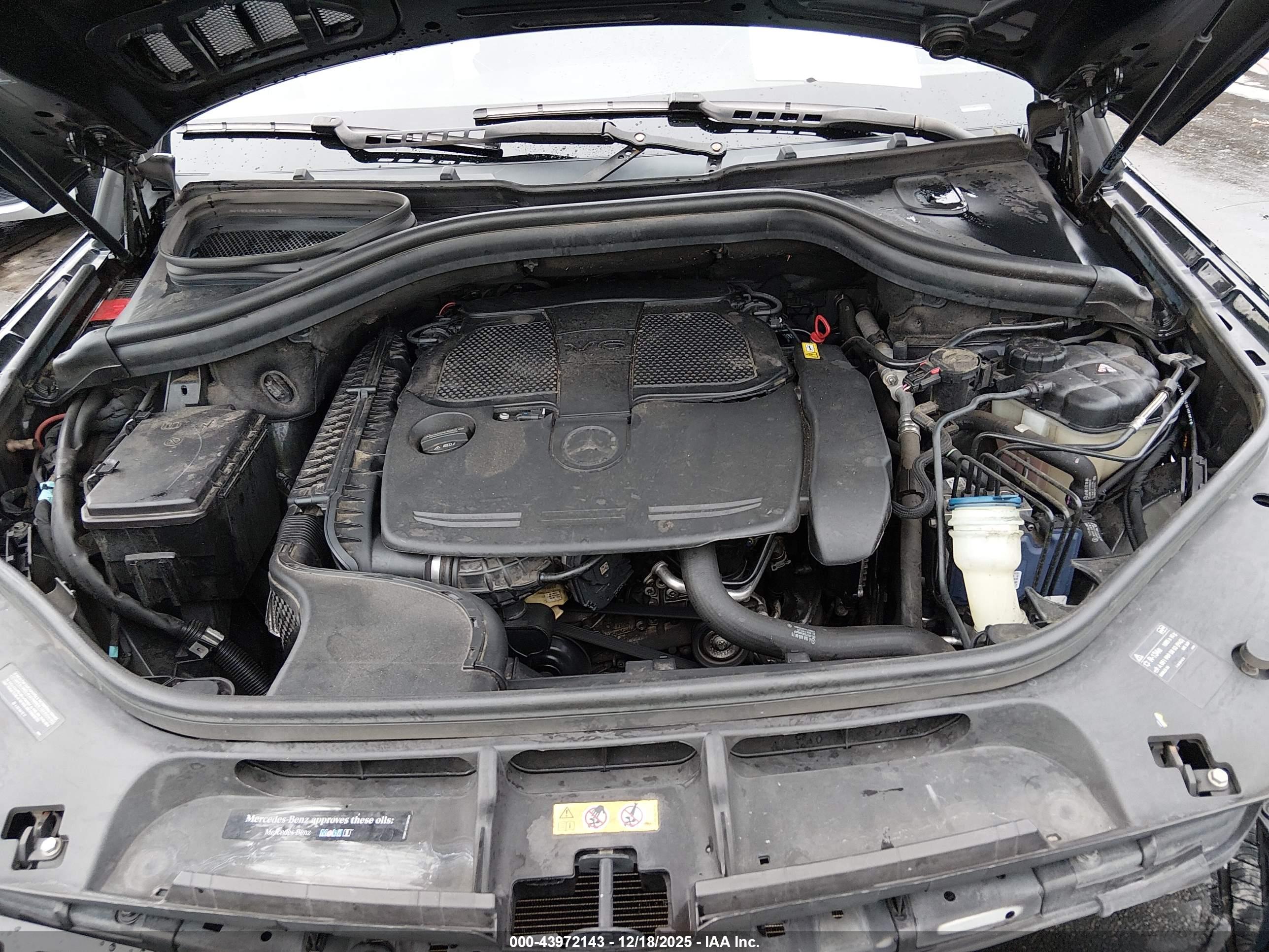 MERCEDES-BENZ ML image 10