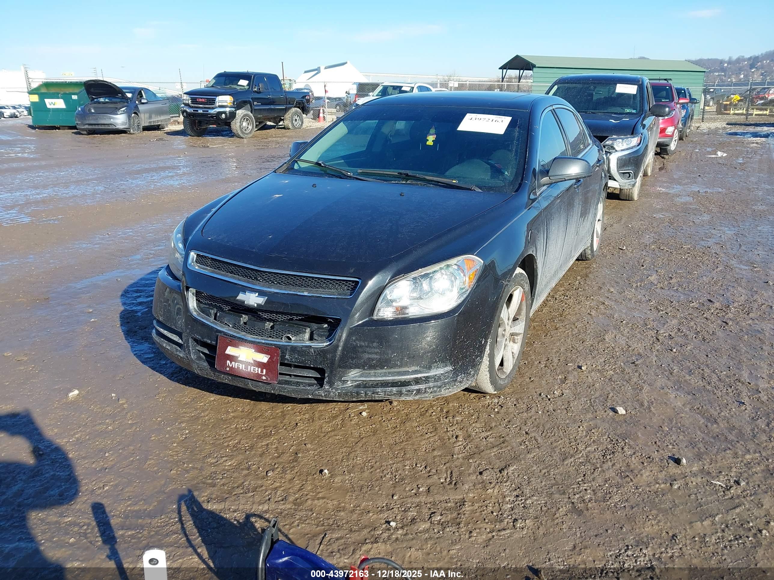 CHEVROLET MALIBU image 2