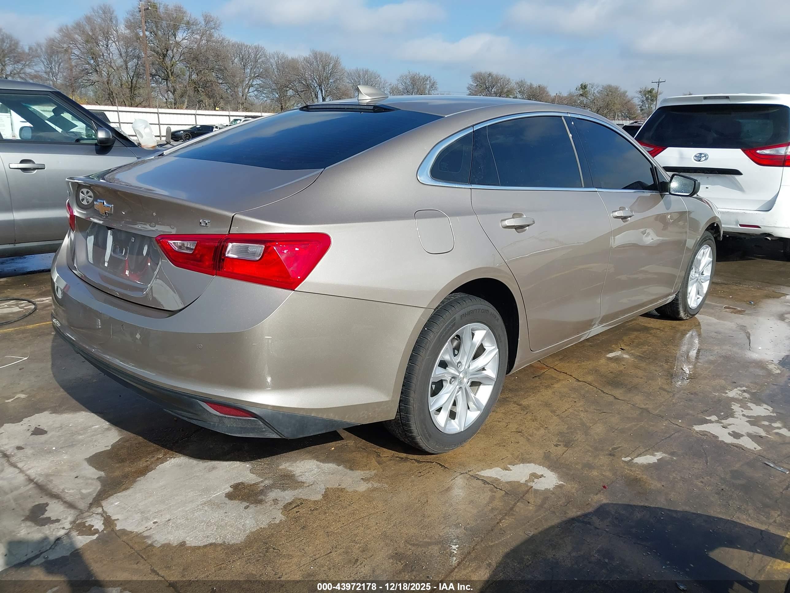 CHEVROLET MALIBU image 4