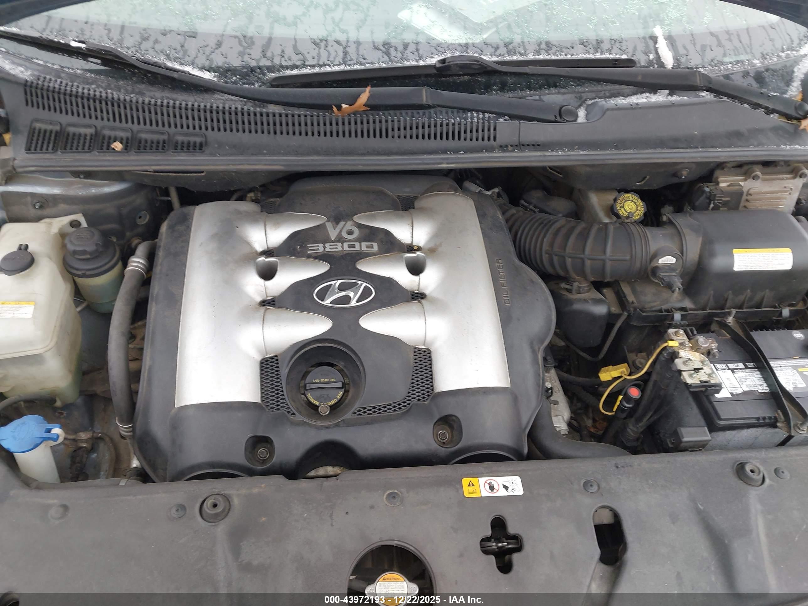 HYUNDAI ENTOURAGE image 10