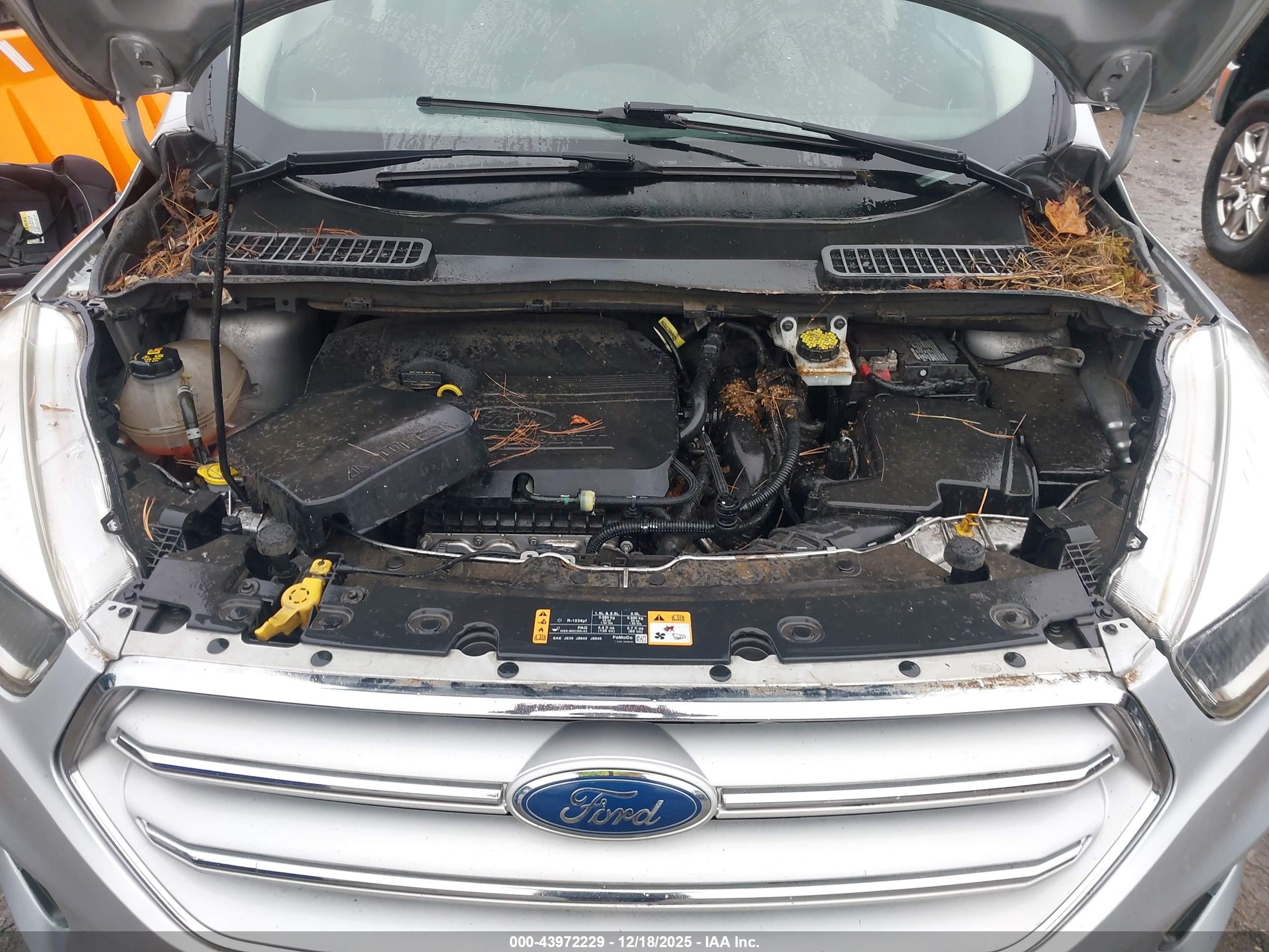 FORD ESCAPE image 10