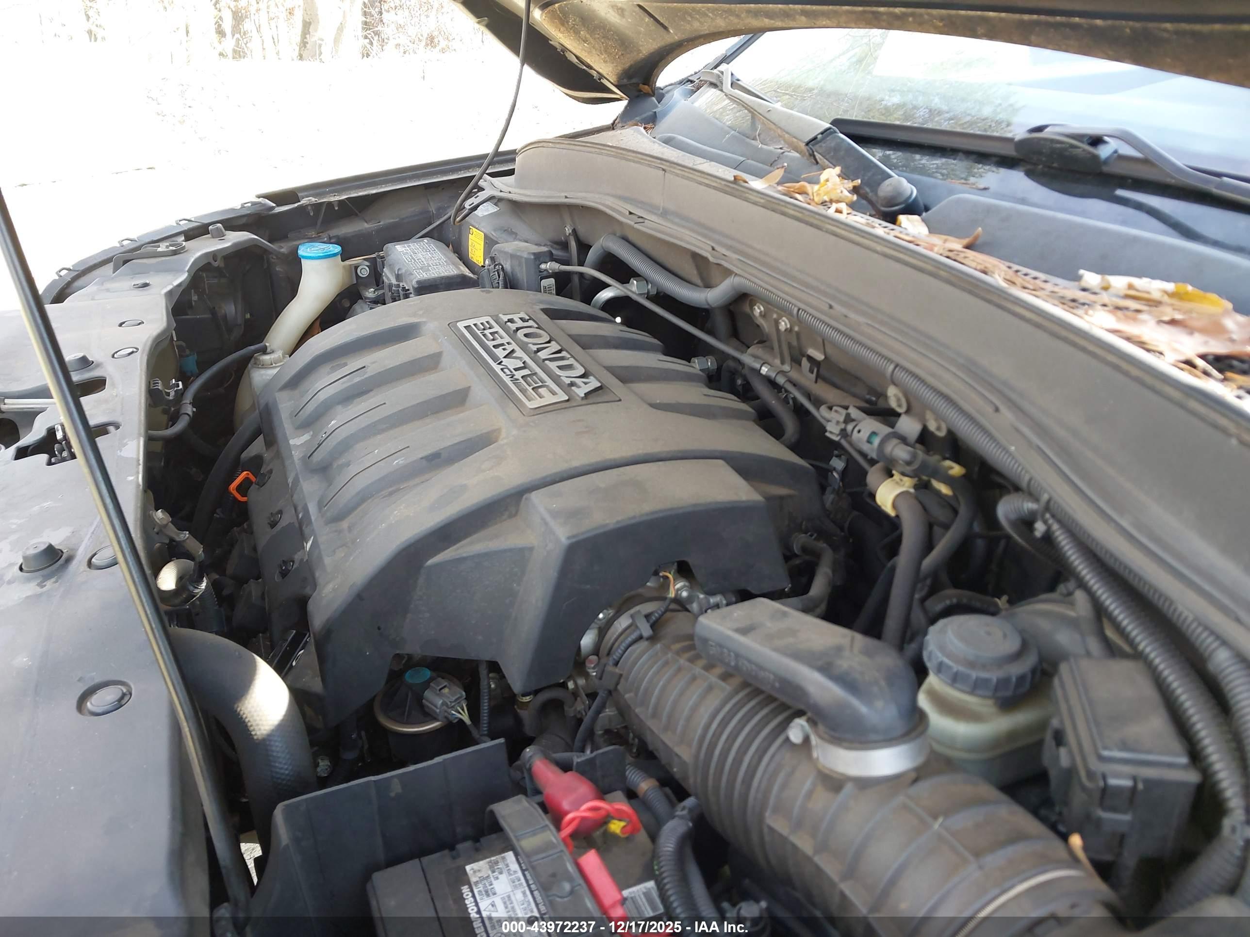 HONDA PILOT image 10