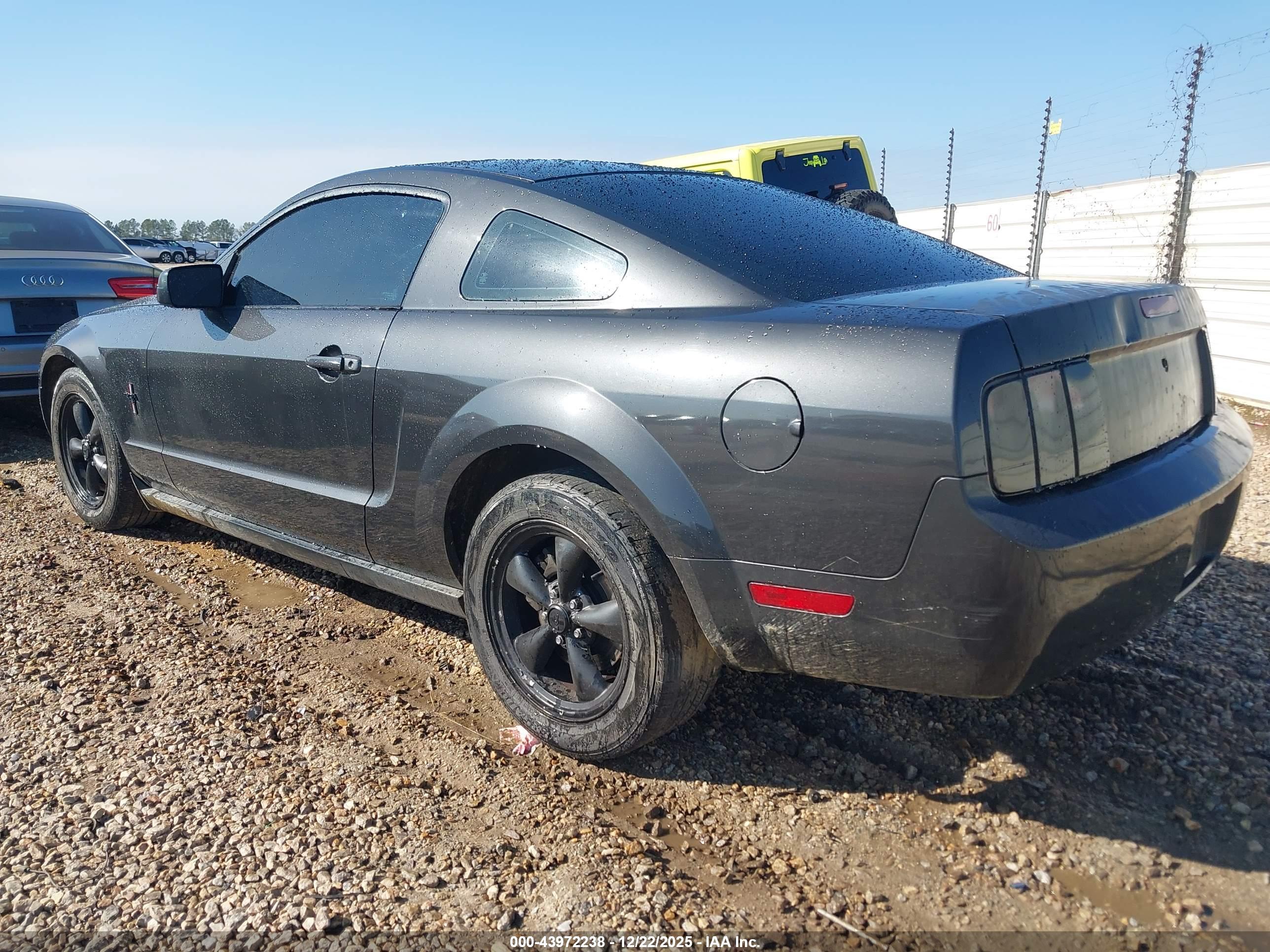 FORD MUSTANG image 3