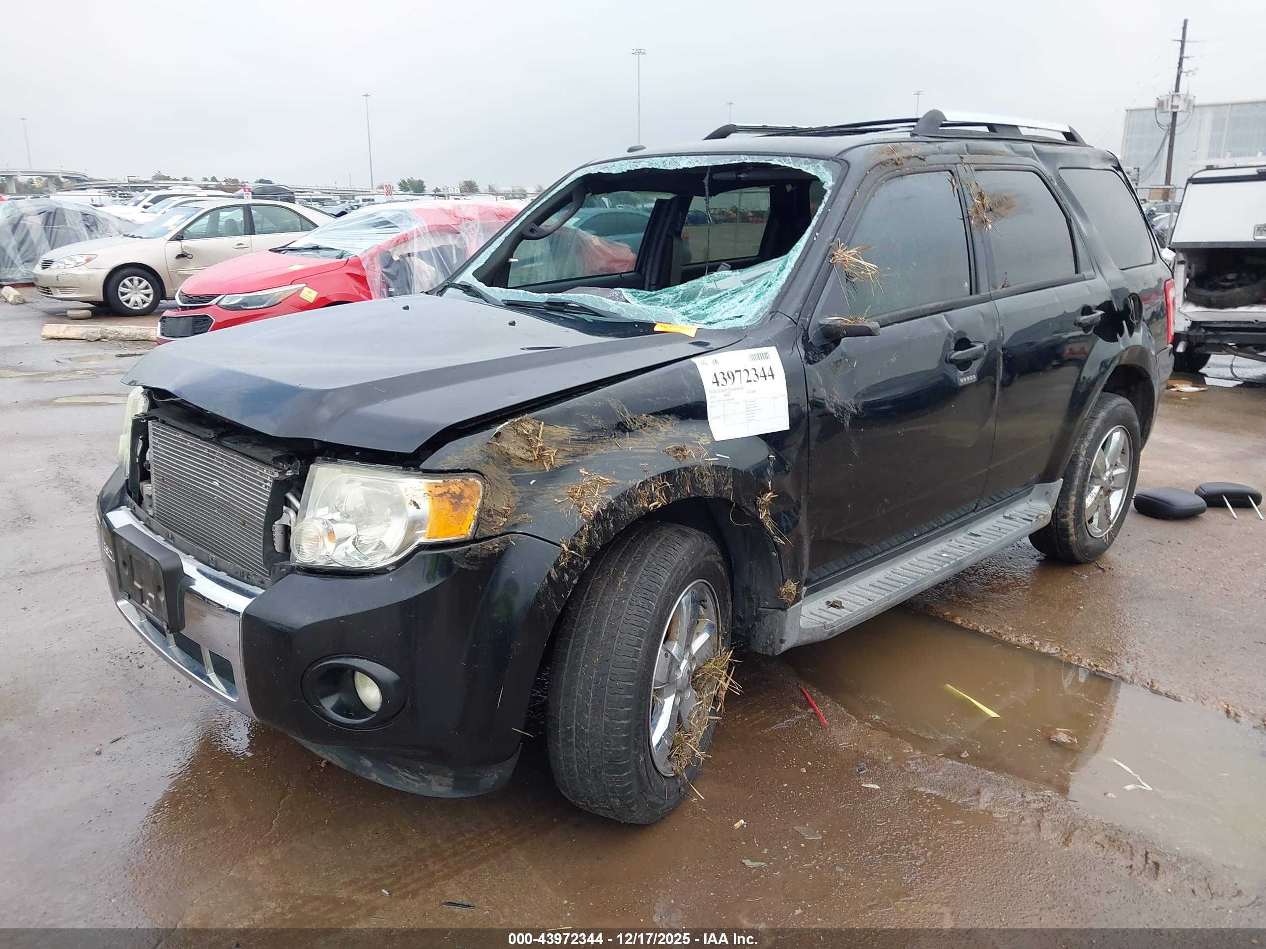 FORD ESCAPE image 2