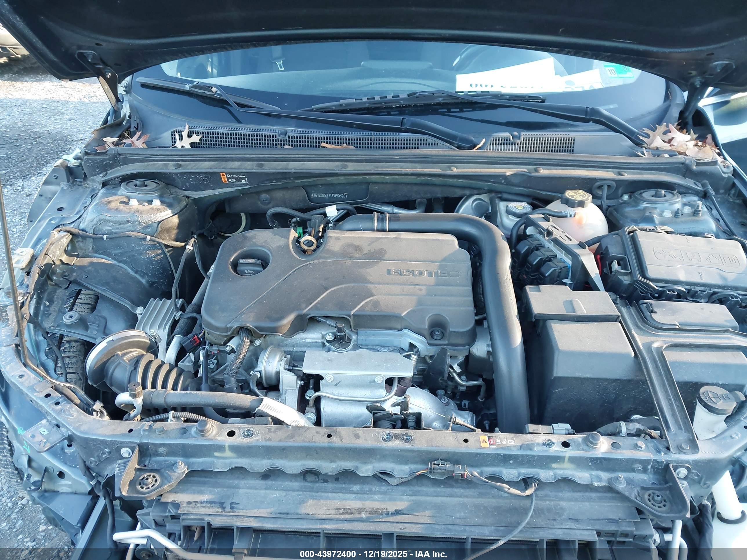 CHEVROLET MALIBU image 10