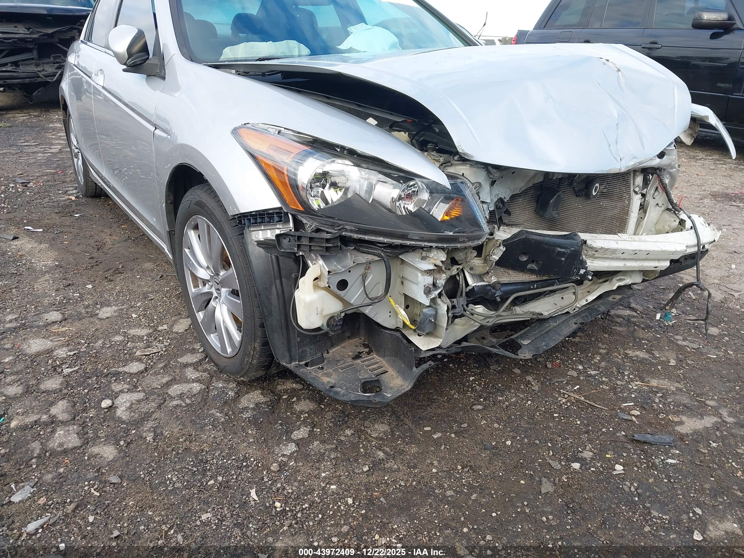 HONDA ACCORD image 6