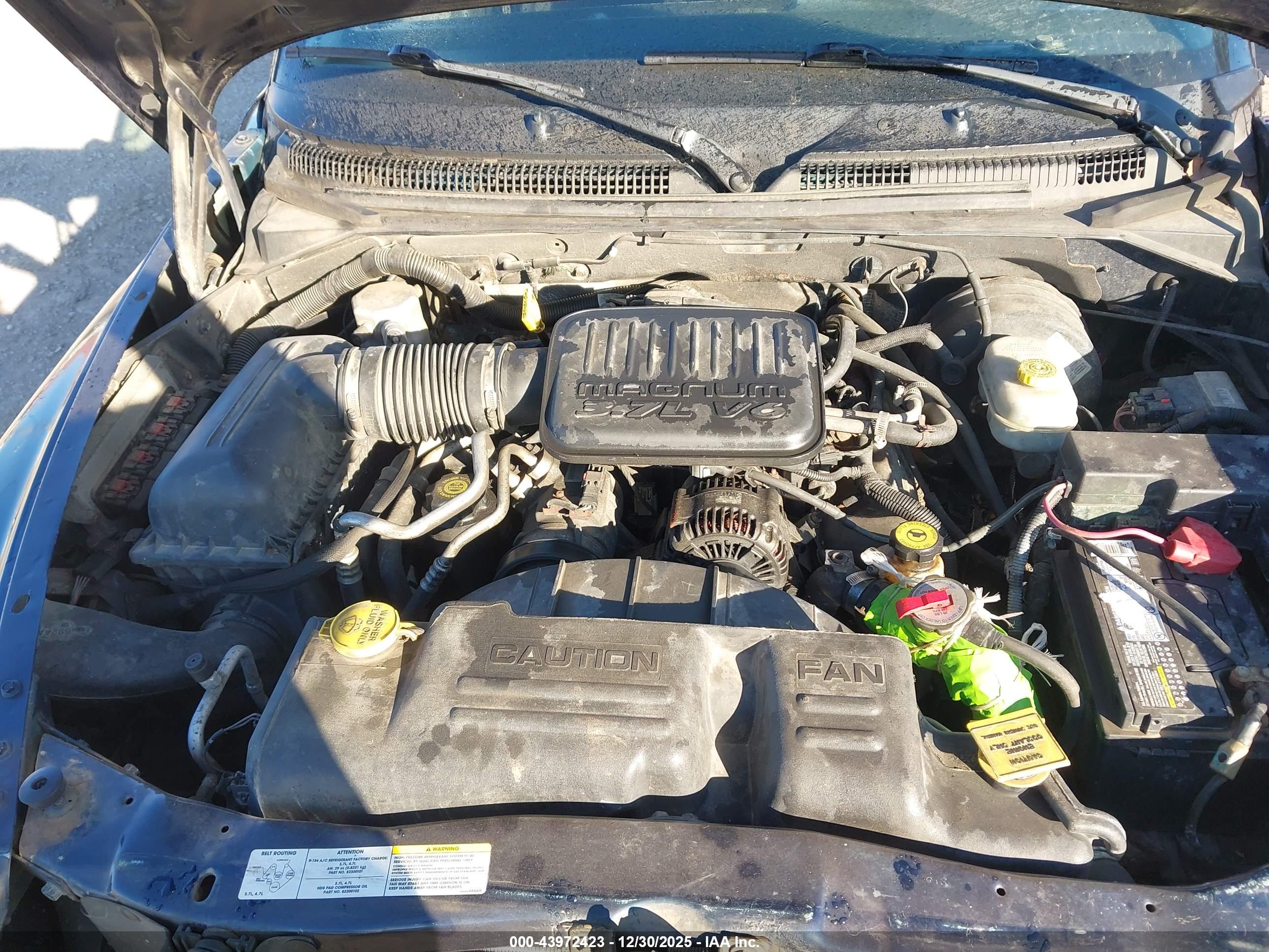 DODGE DAKOTA image 10