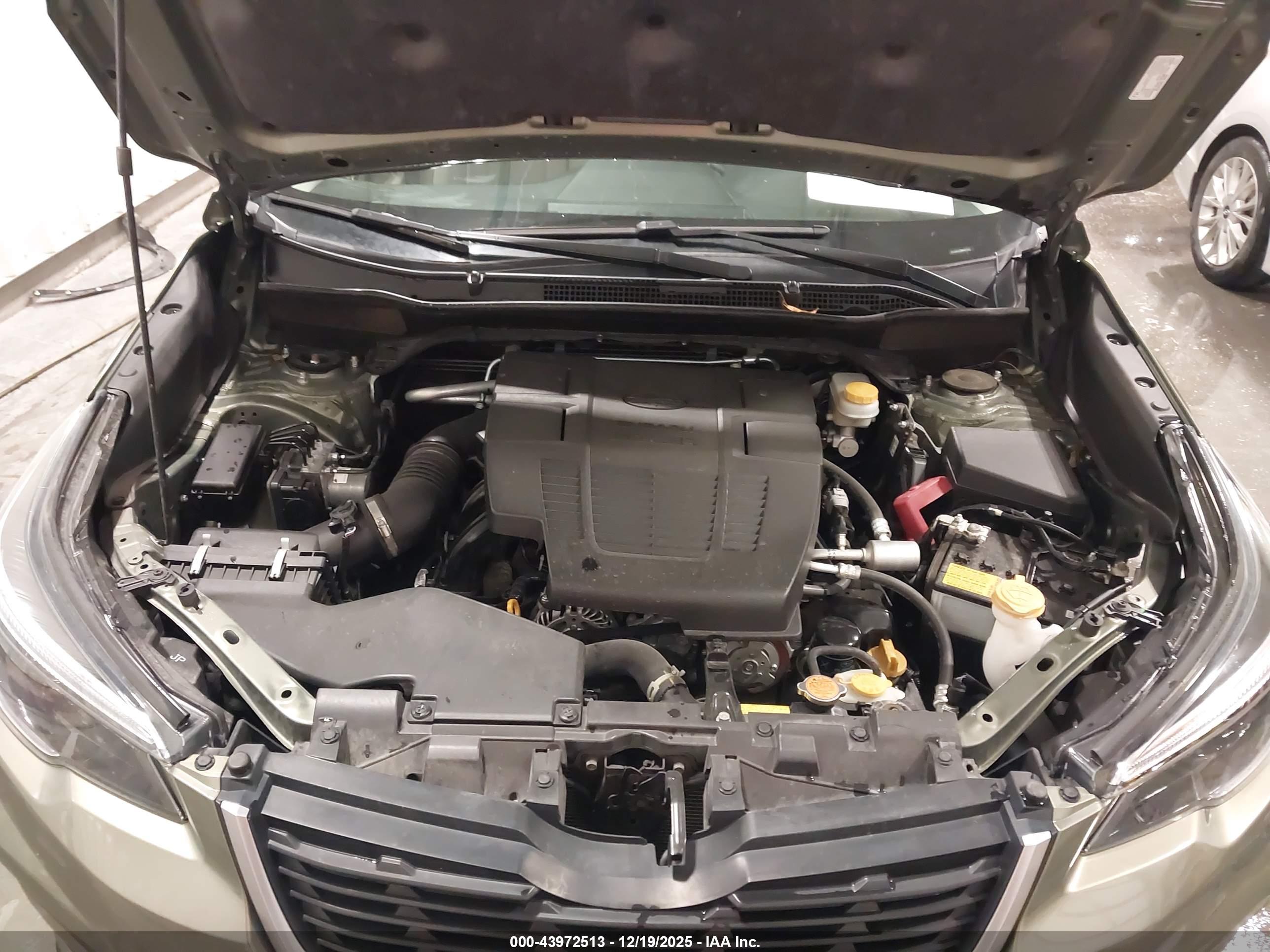 SUBARU FORESTER image 10