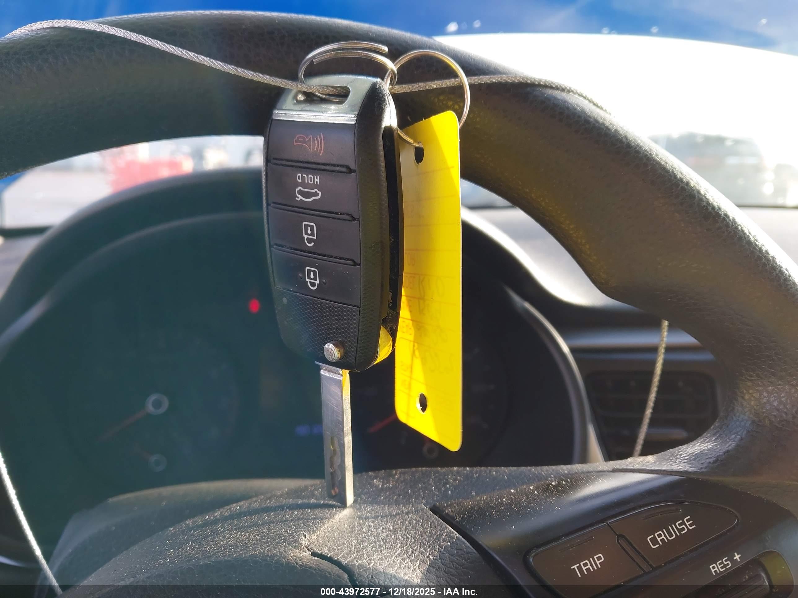 KIA RIO image 11