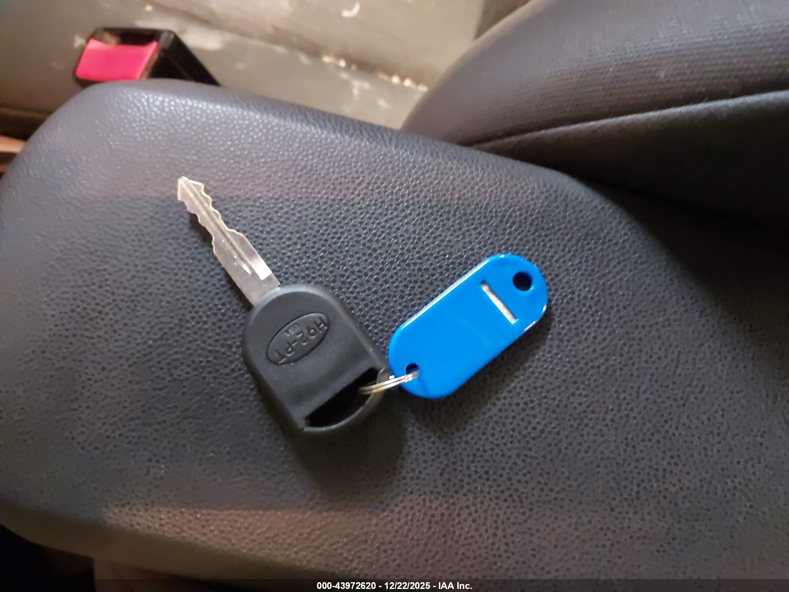 FORD FOCUS image 11