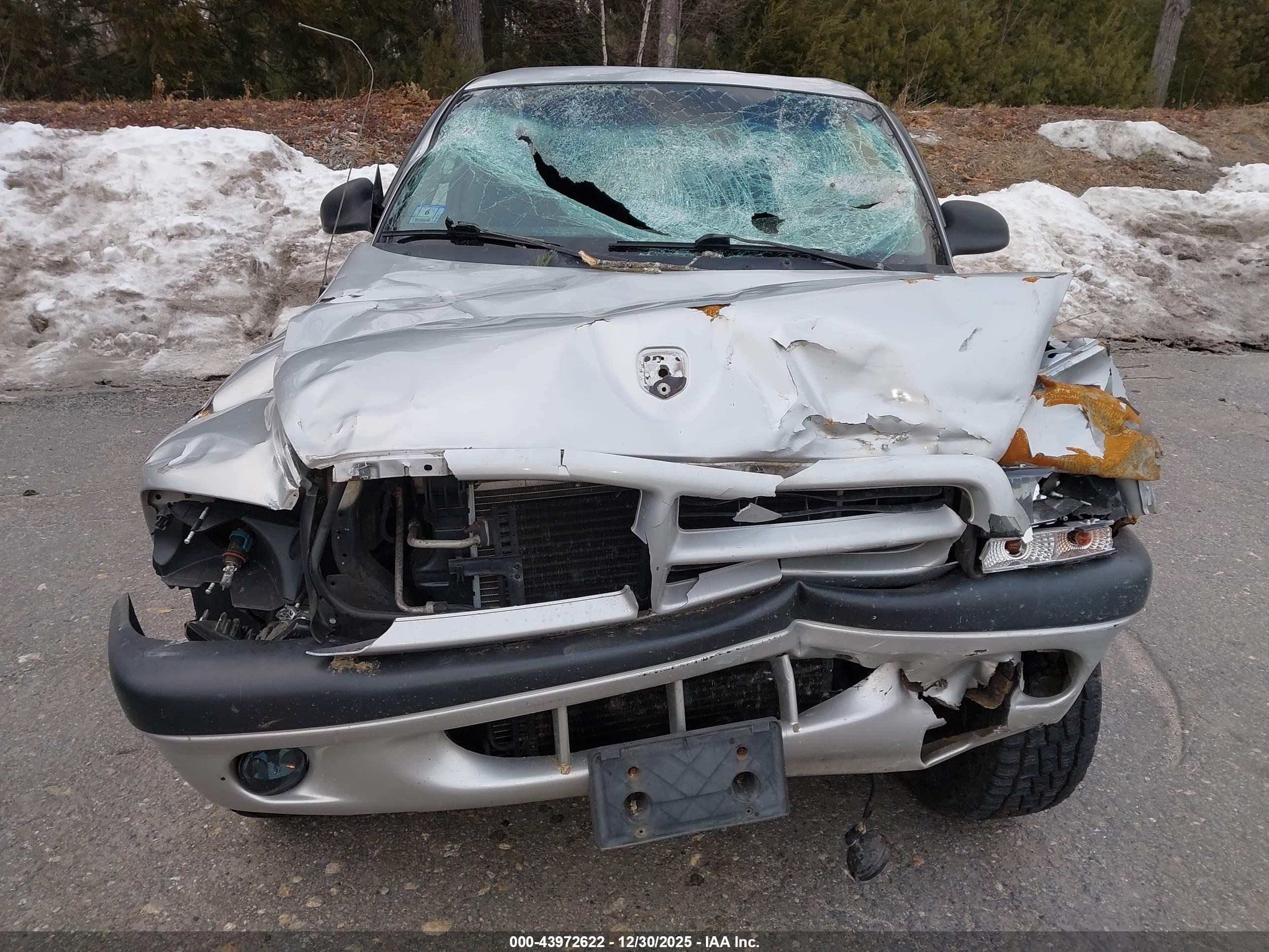 DODGE DAKOTA image 6