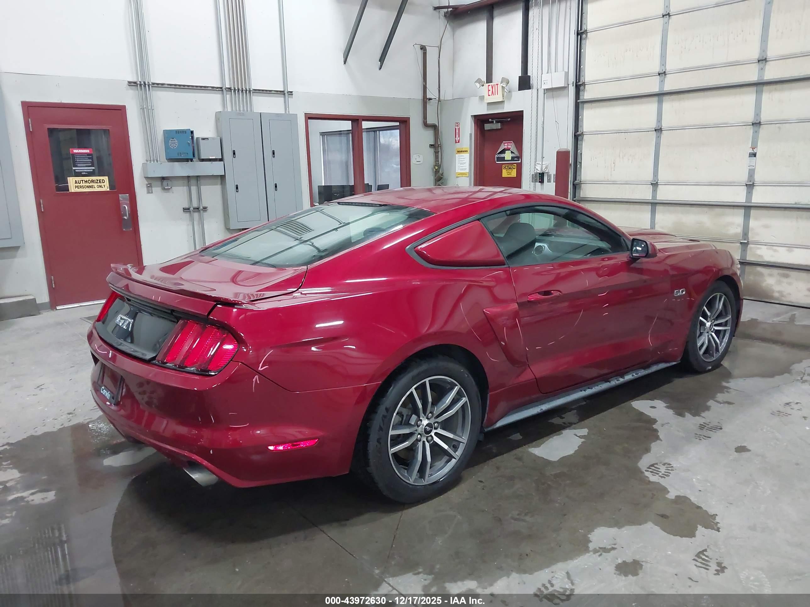 FORD MUSTANG image 4