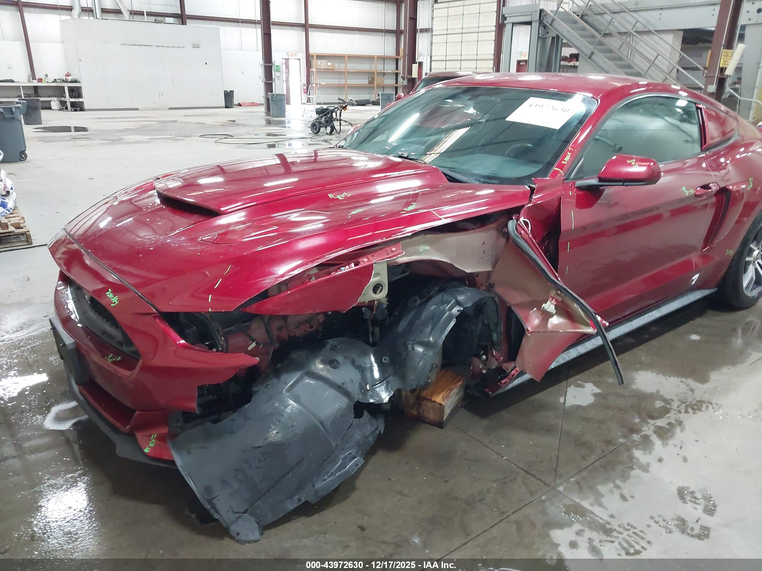 FORD MUSTANG image 6