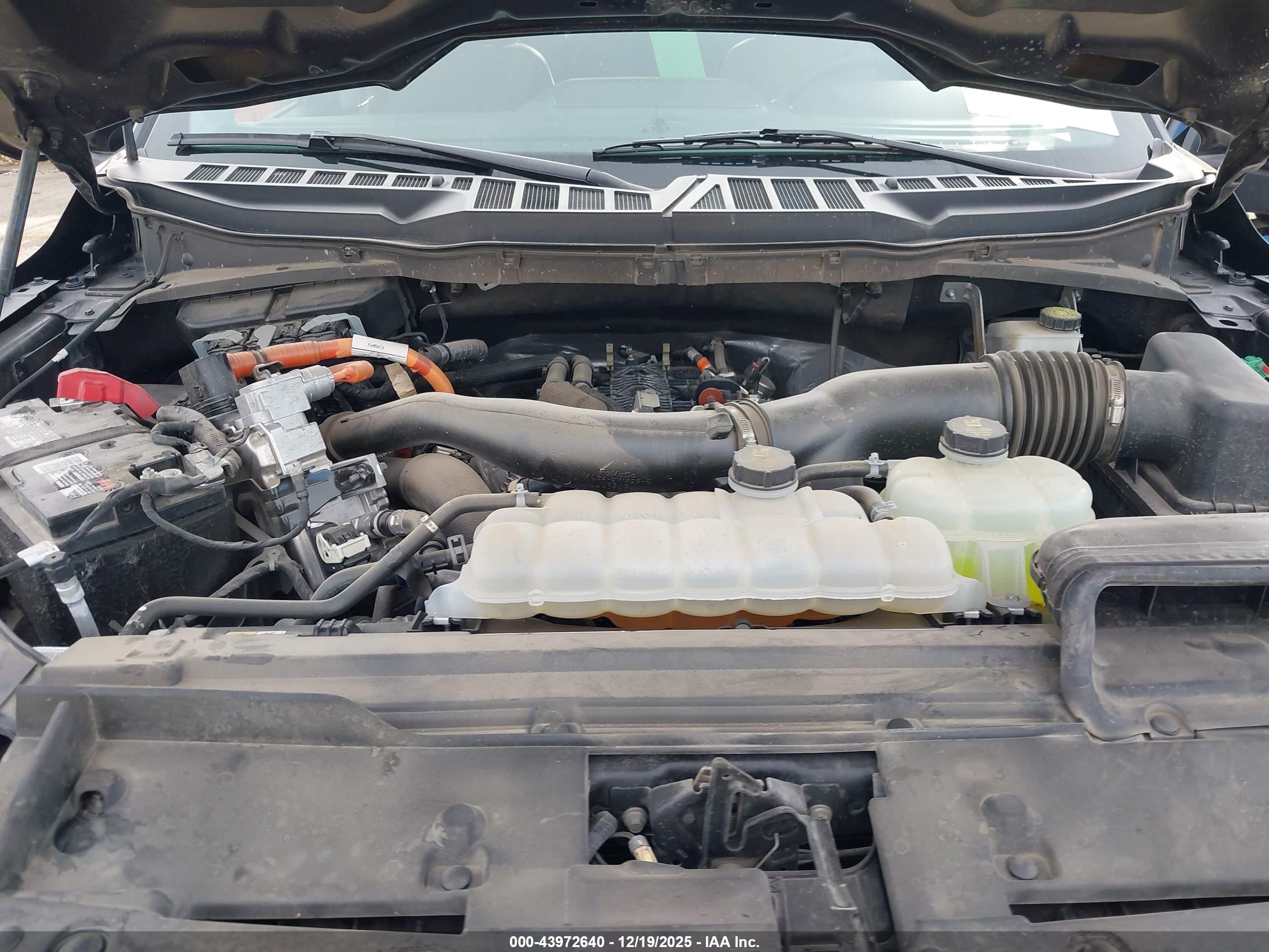 FORD F-150 image 10