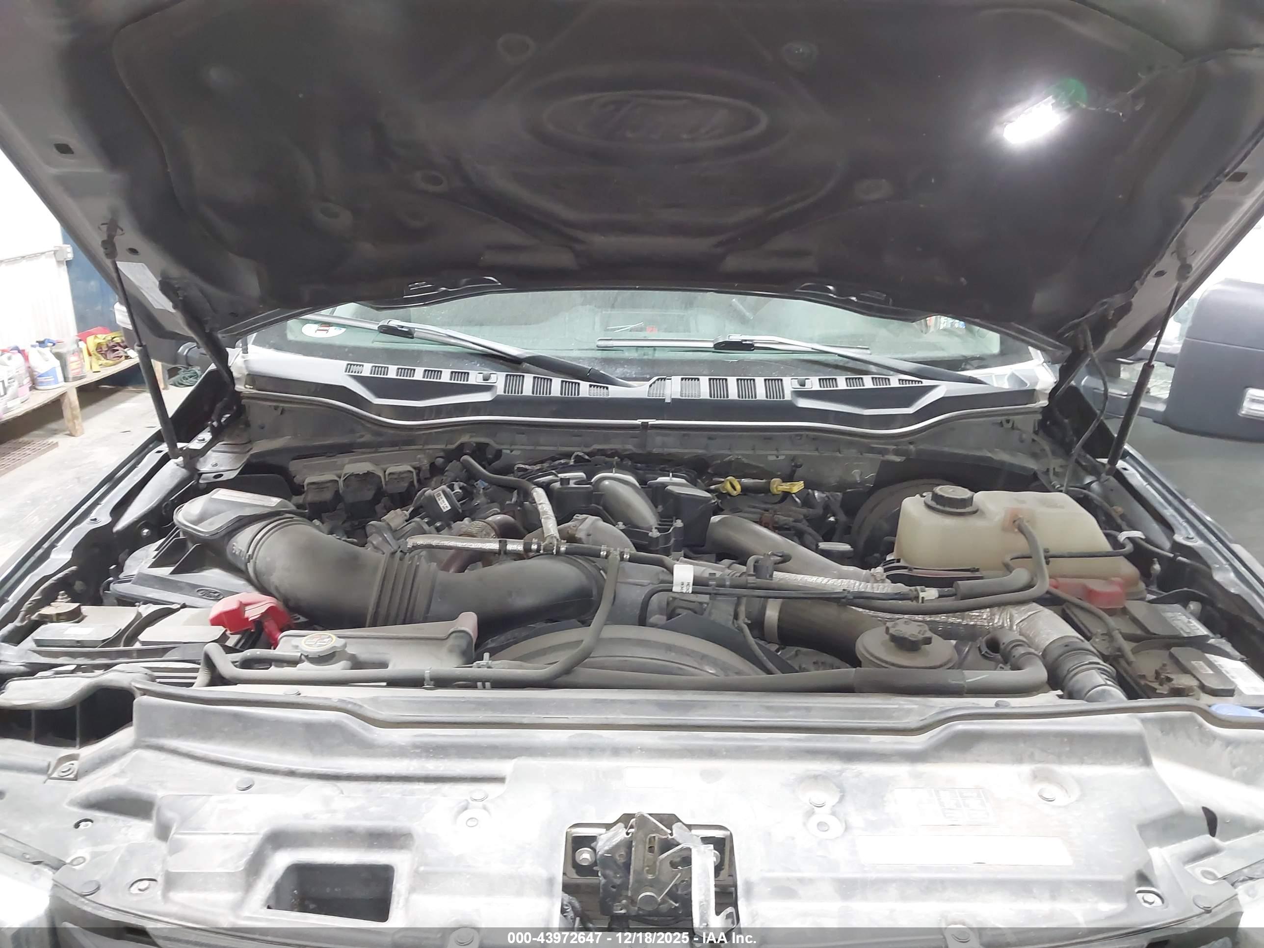 FORD F-250 image 10