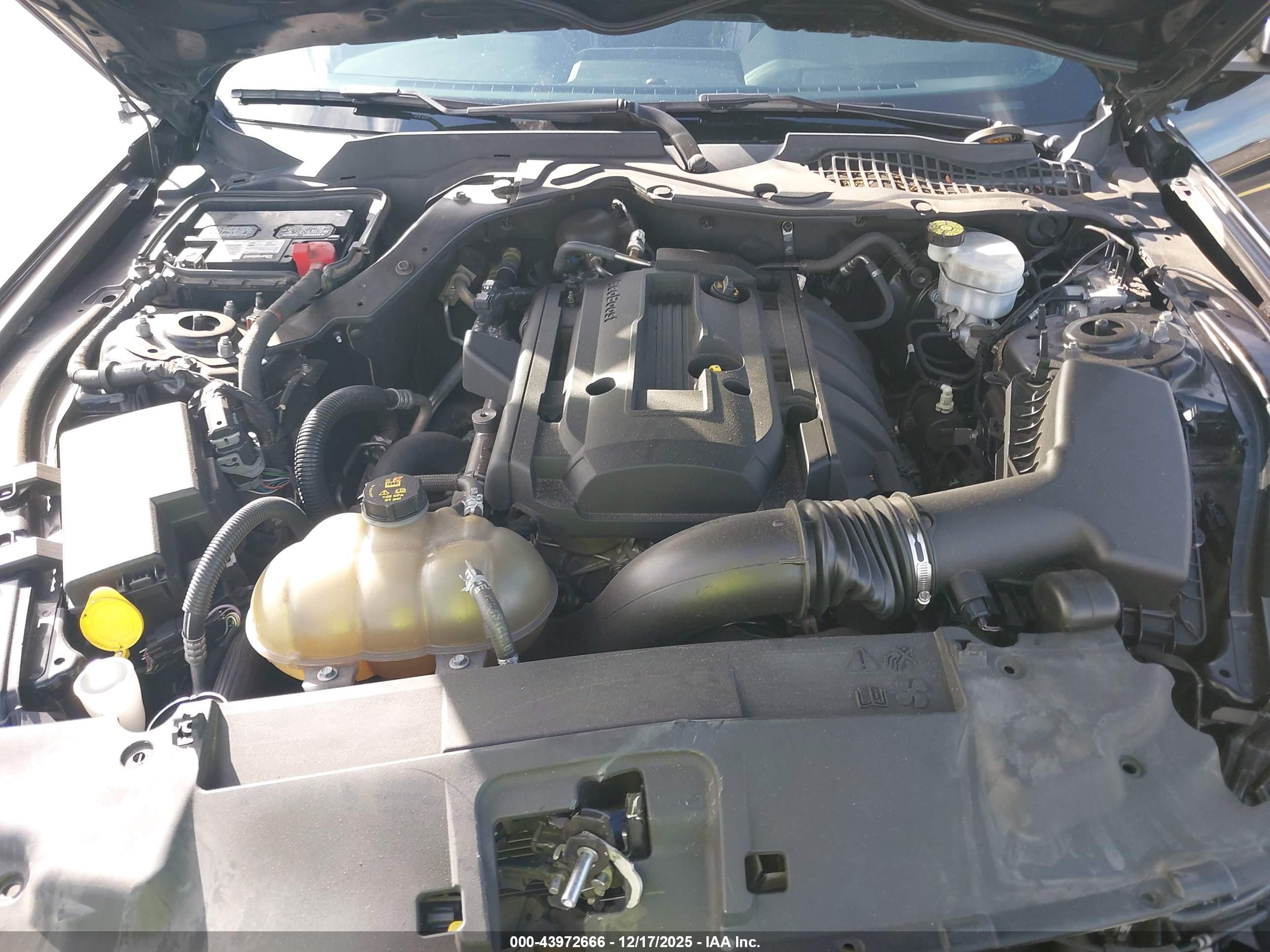 FORD MUSTANG image 10