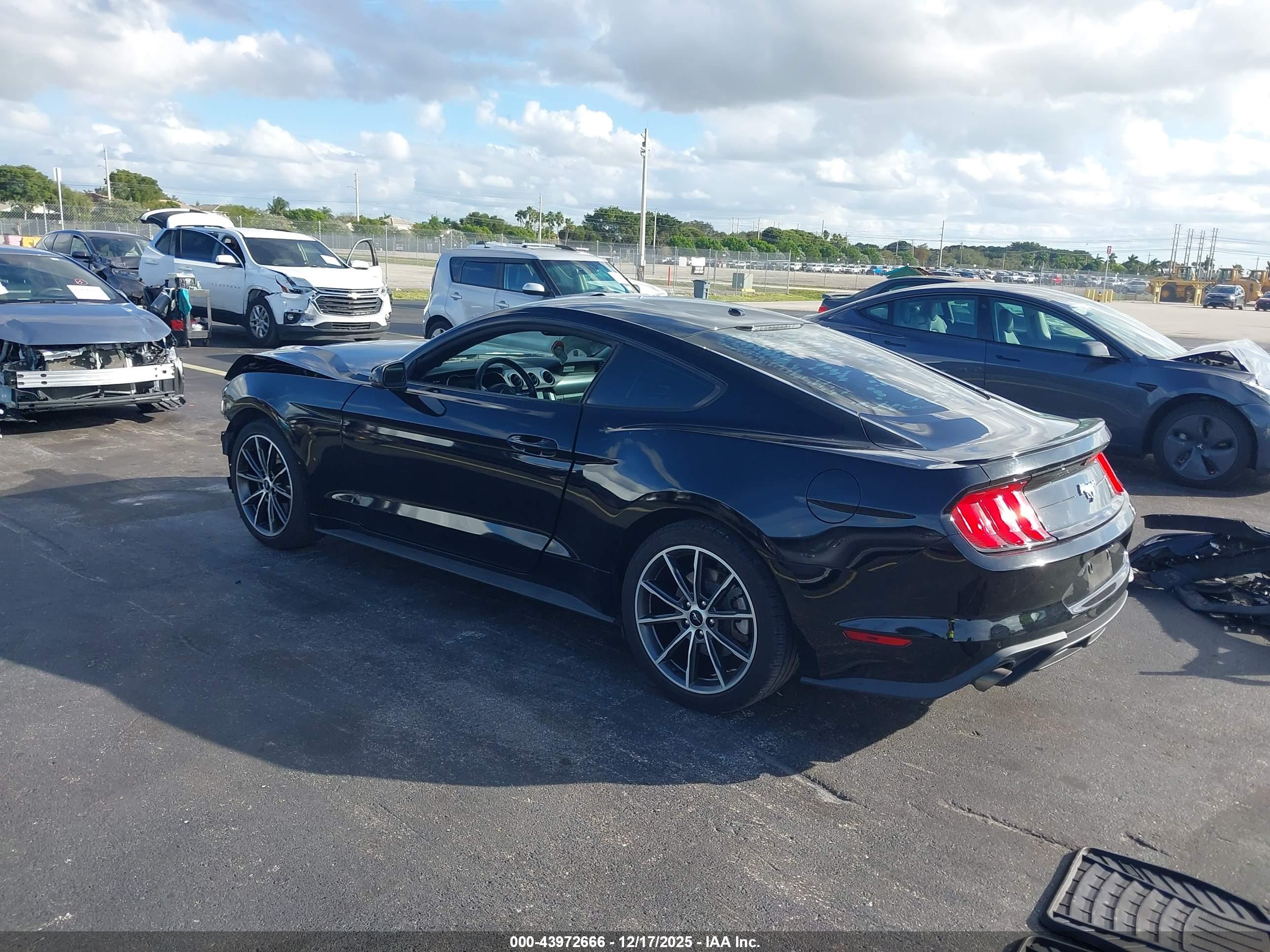 FORD MUSTANG image 3