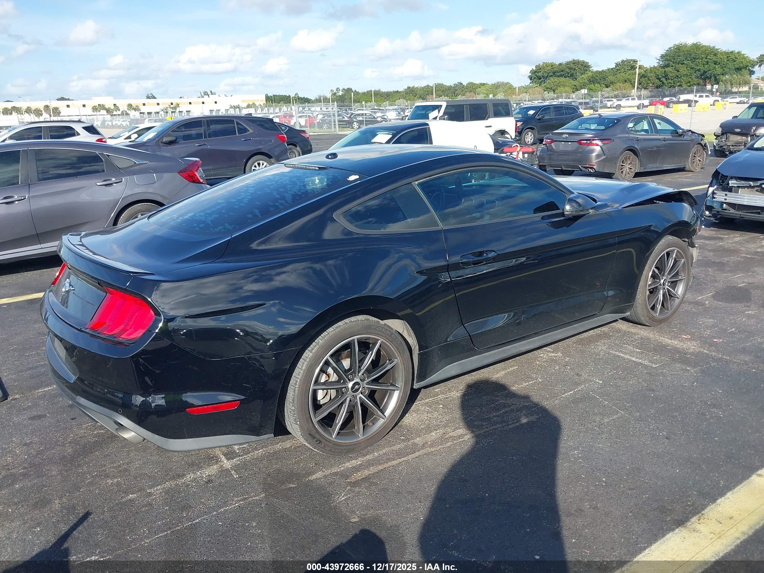 FORD MUSTANG image 4
