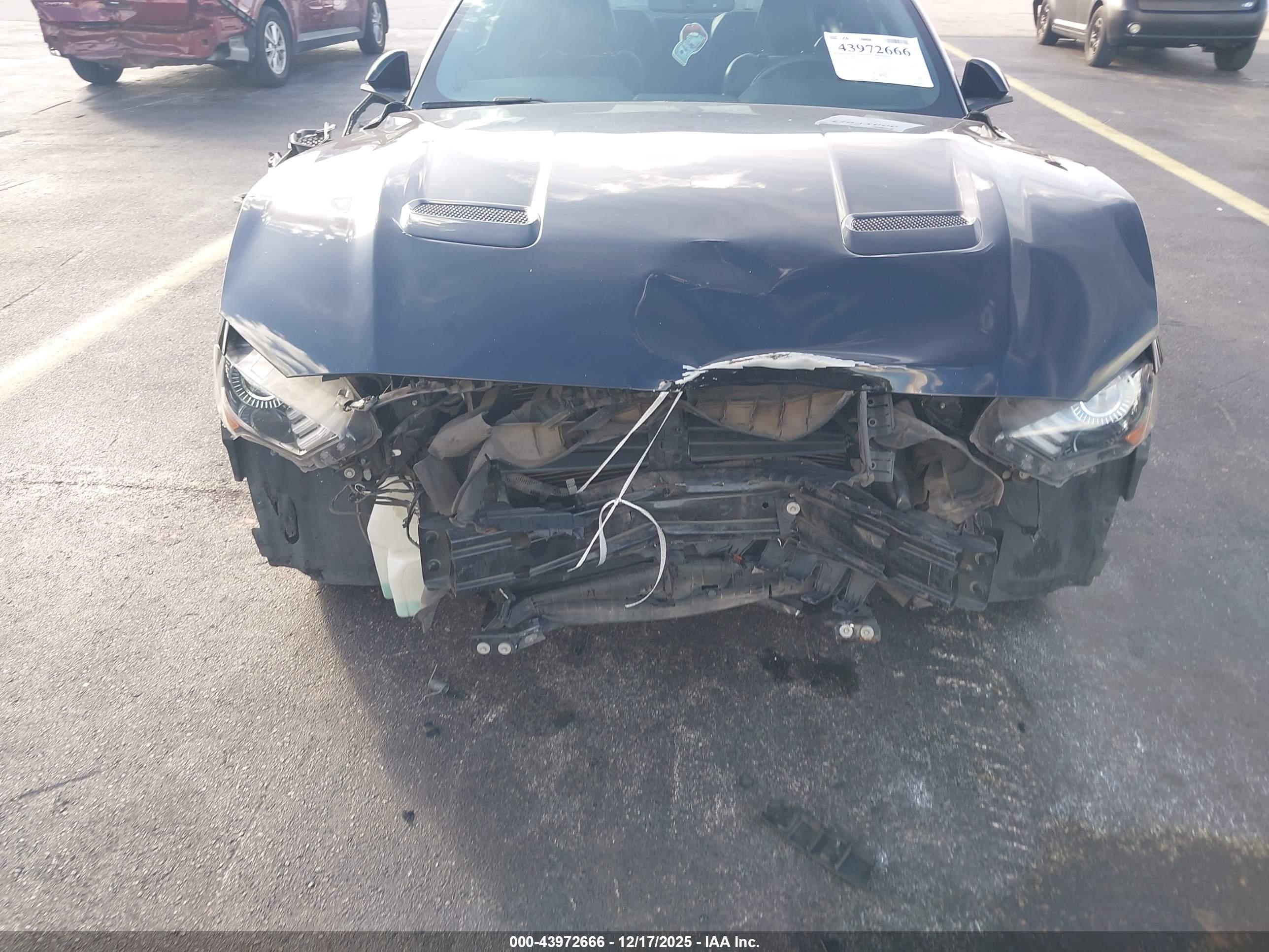 FORD MUSTANG image 6