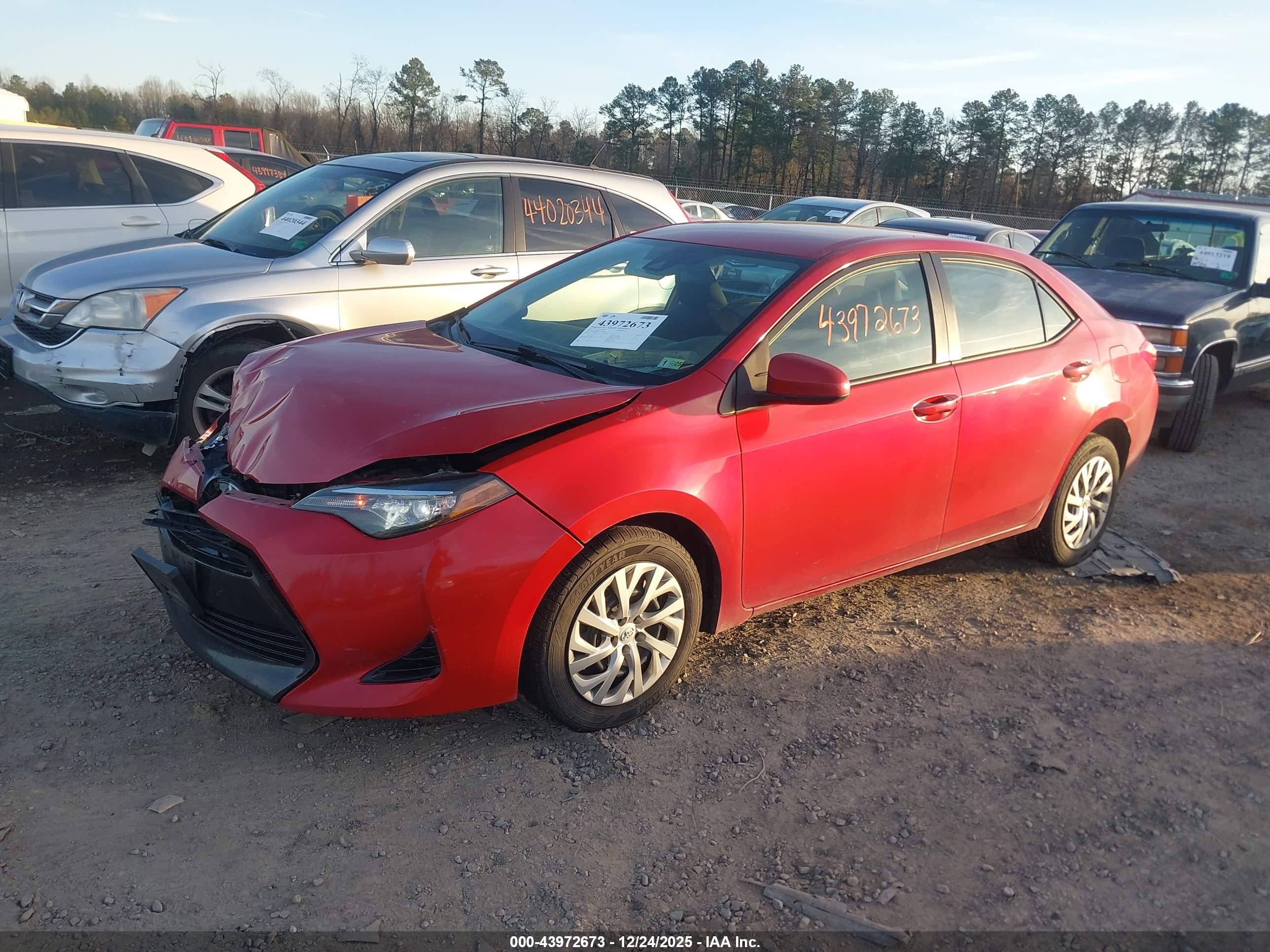 TOYOTA COROLLA image 2