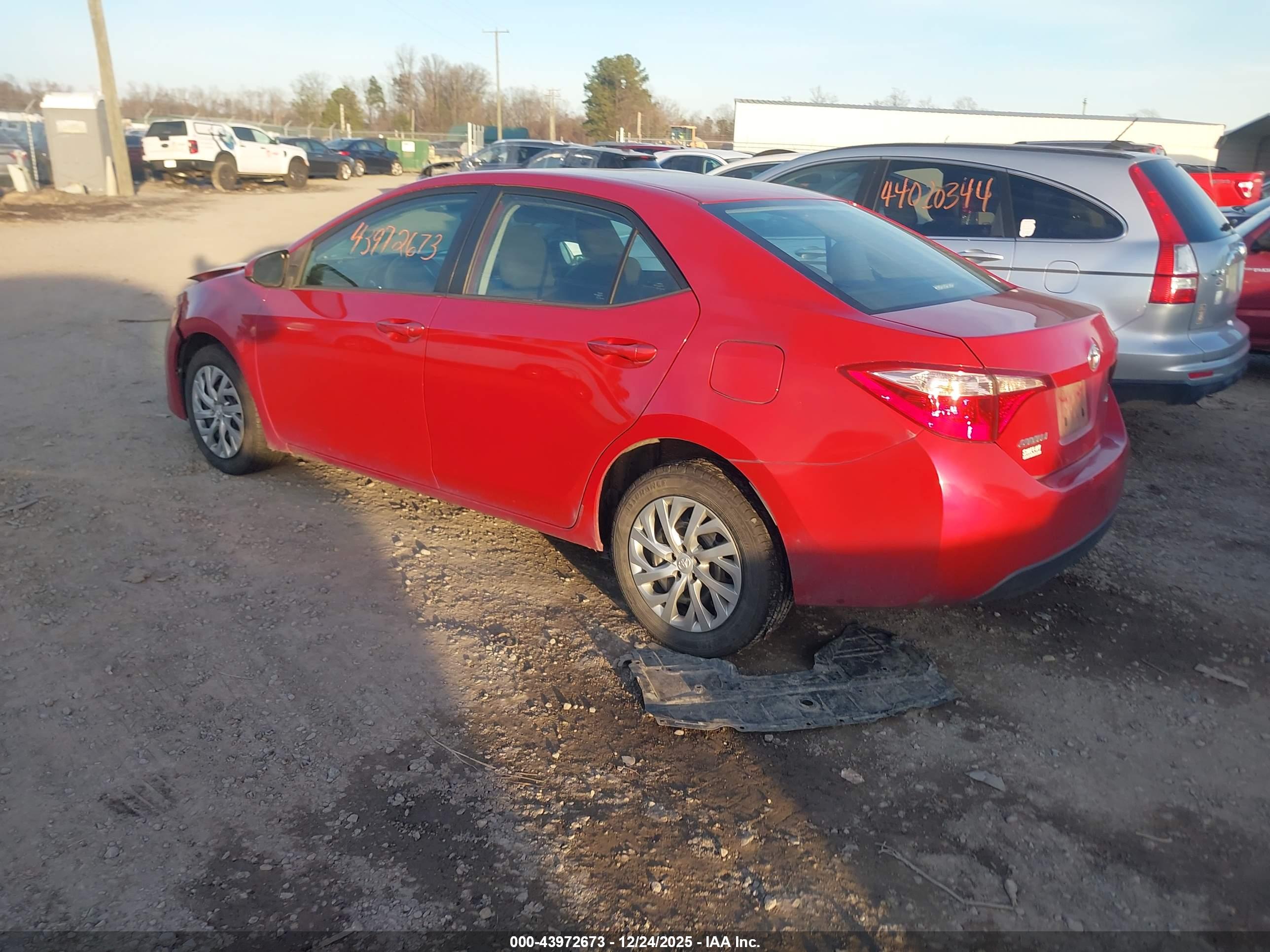 TOYOTA COROLLA image 3