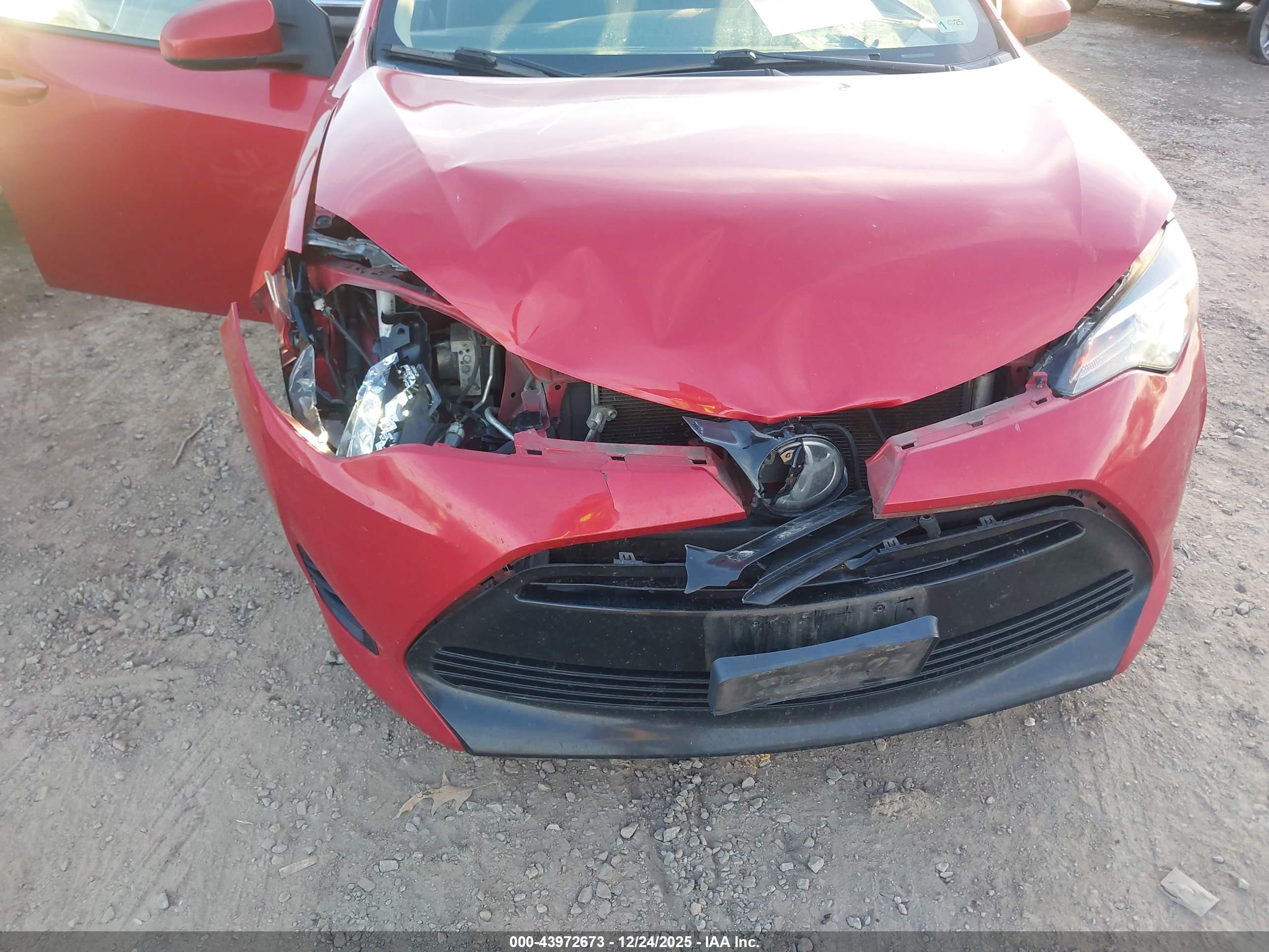 TOYOTA COROLLA image 6